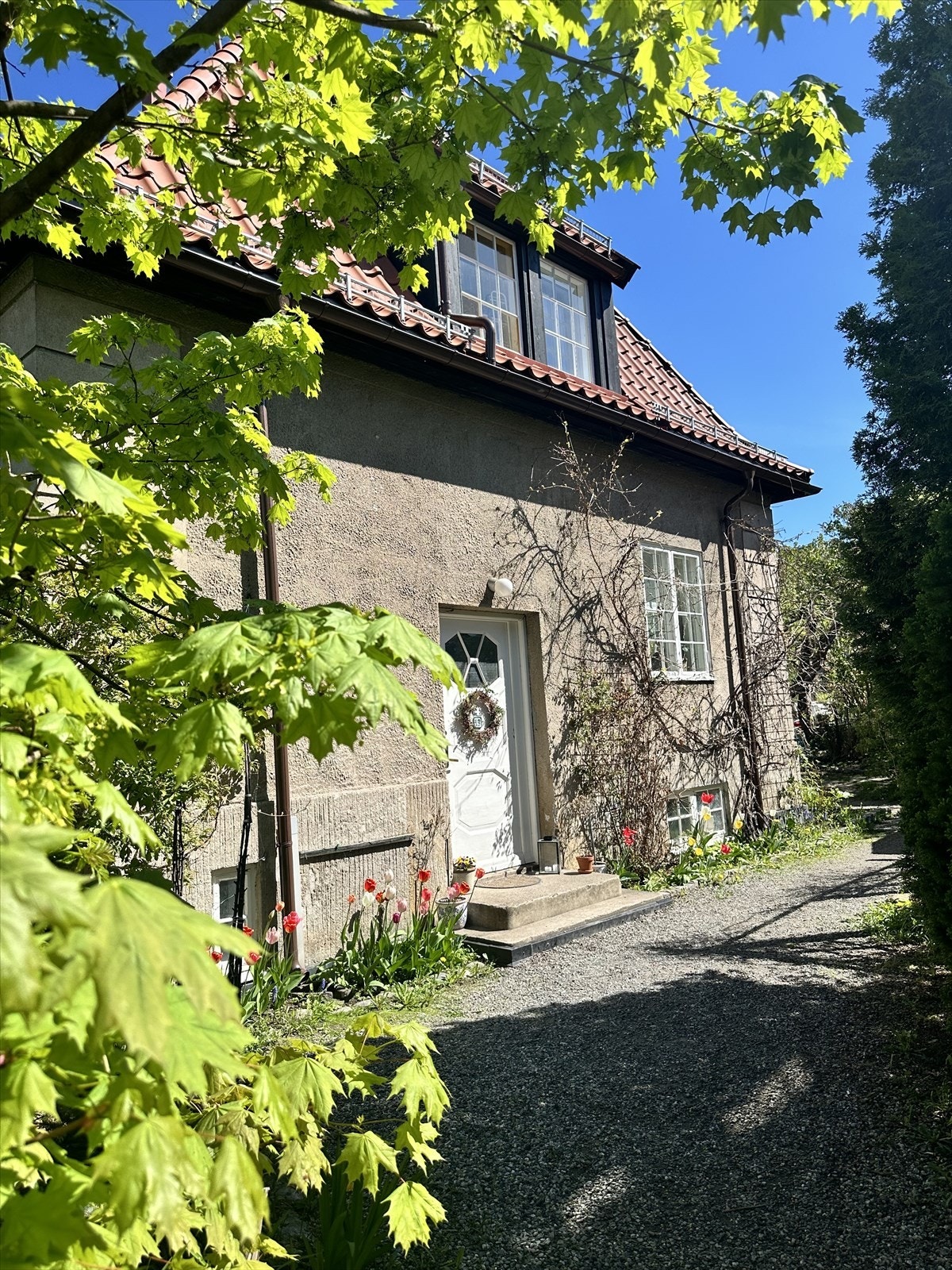 Selgers eget bilde. Galleribilde