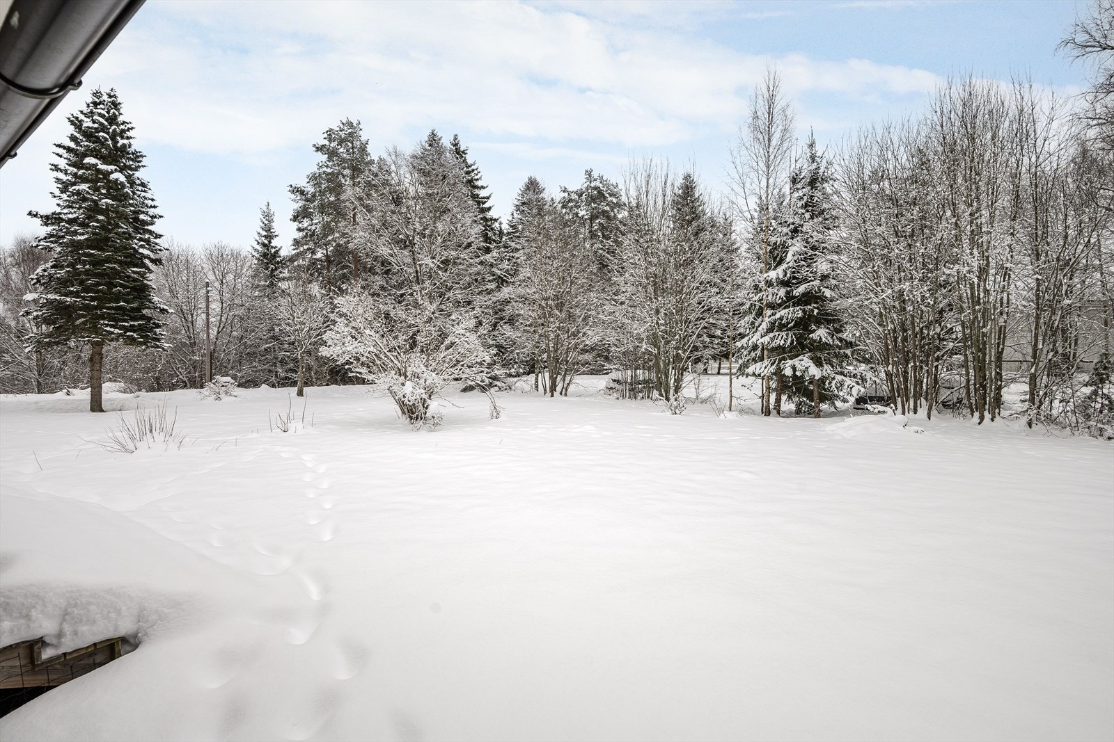 Fra terrassen er det videre adkomst til solrik og flat hage opparbeidet med gress, busker/trær og blomsterbed. Galleribilde