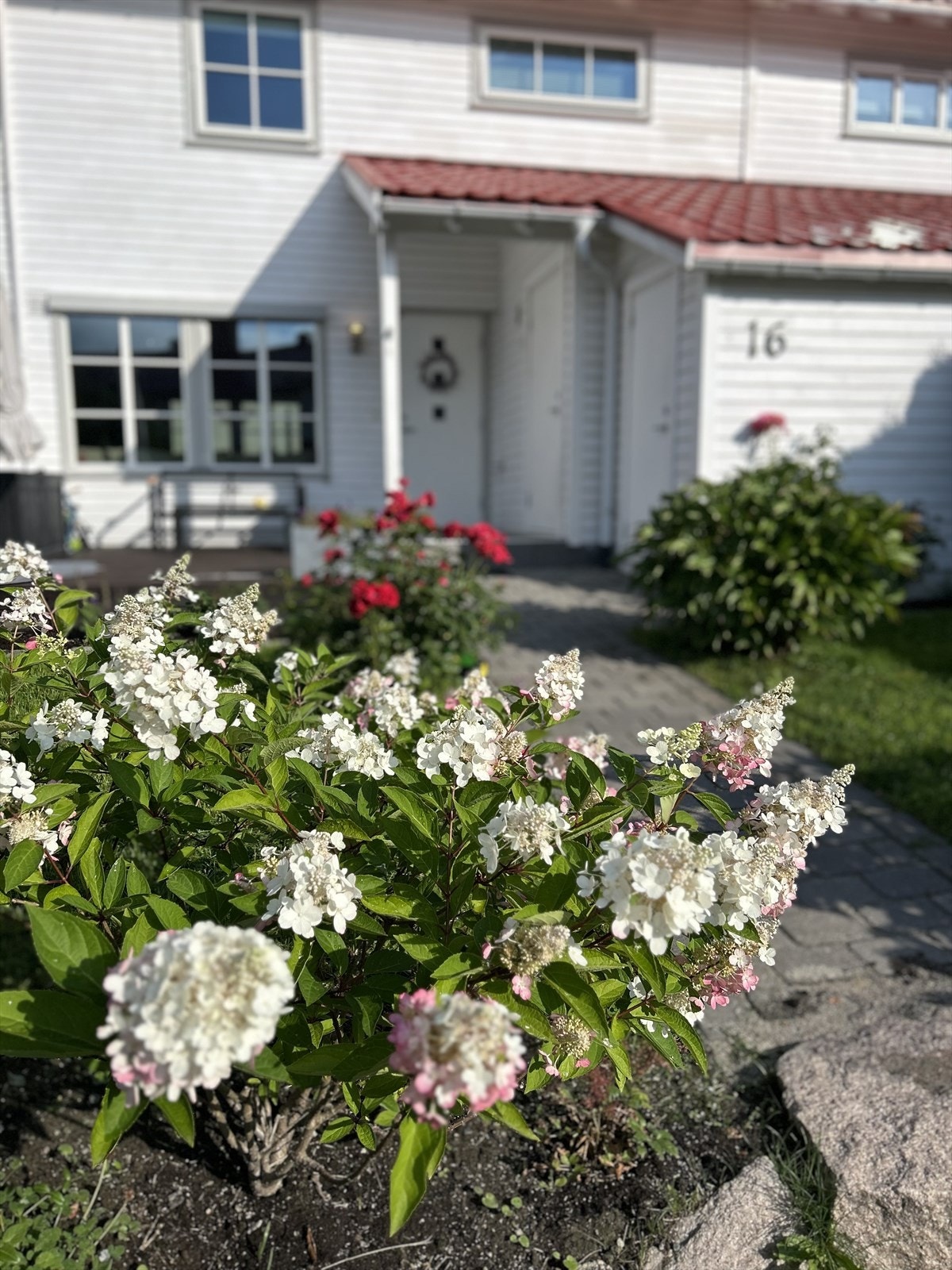 Hage/inngang - Selgers bilde Galleribilde