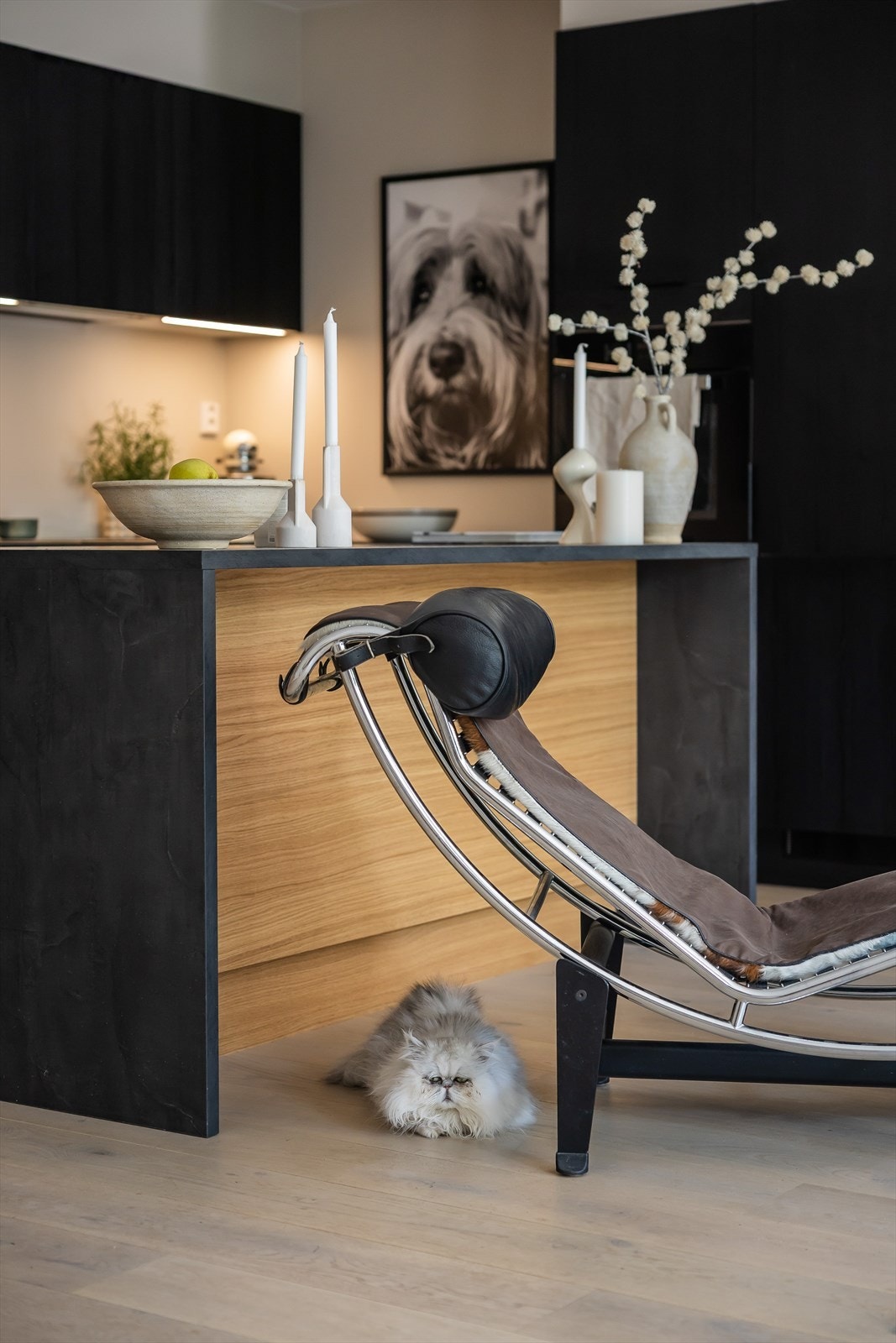 Her vil både to- og firebeinte stortrives! Galleribilde