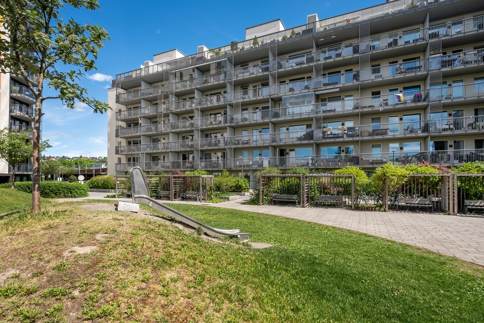 Nærområdet. Galleribilde