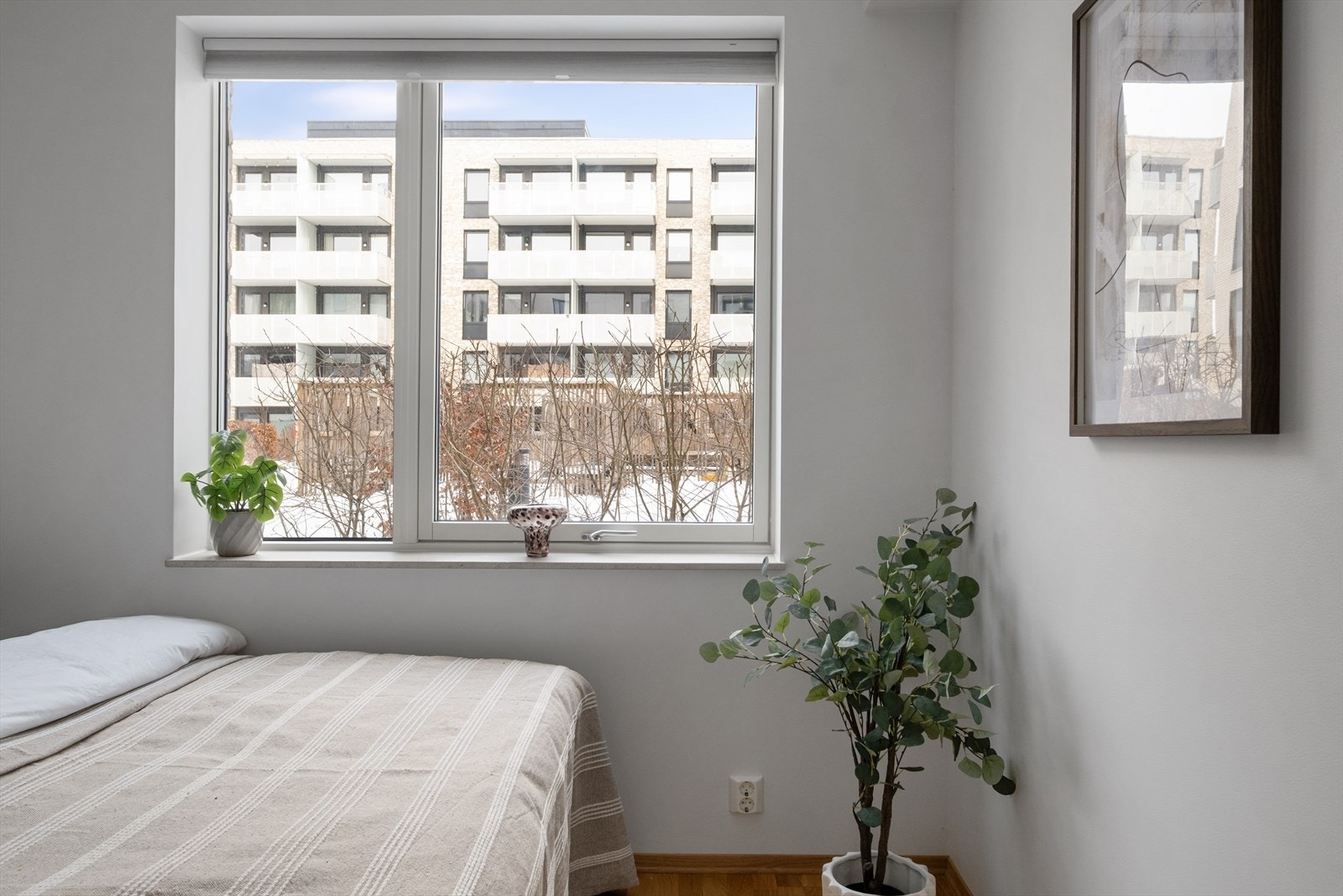 Store vindusflater som gir mengder av lys. Galleribilde