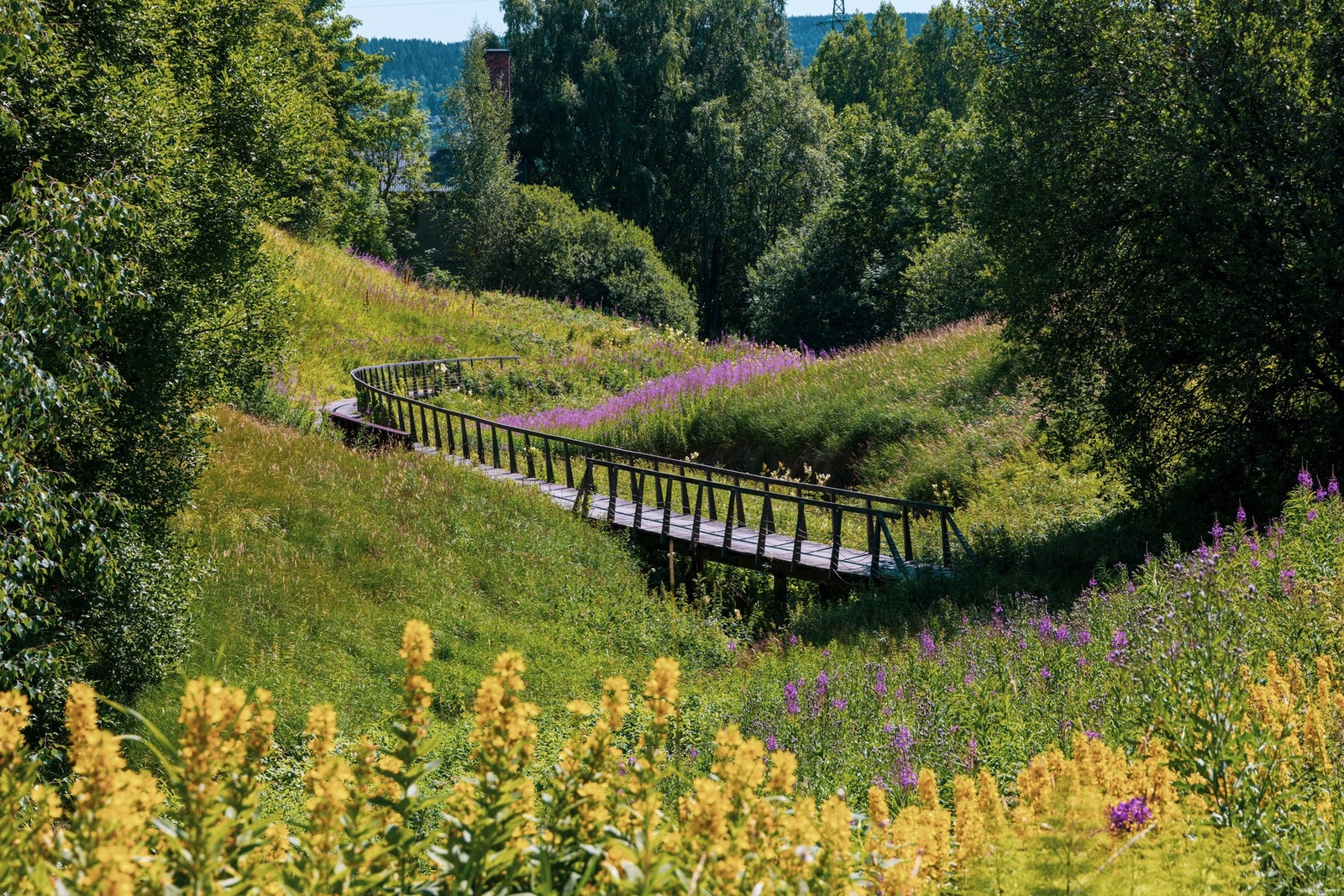 Søndagsturen kan også legges til Ammerudparken eller Grorudparken, flotte grøntområder hvor Alnaelva stille renner forbi - perfekt for rolige spaserturer i nærmiljøet. Galleribilde