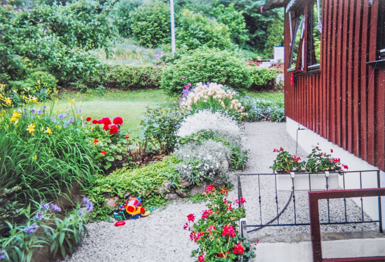 Bilde fra sommerstid Galleribilde