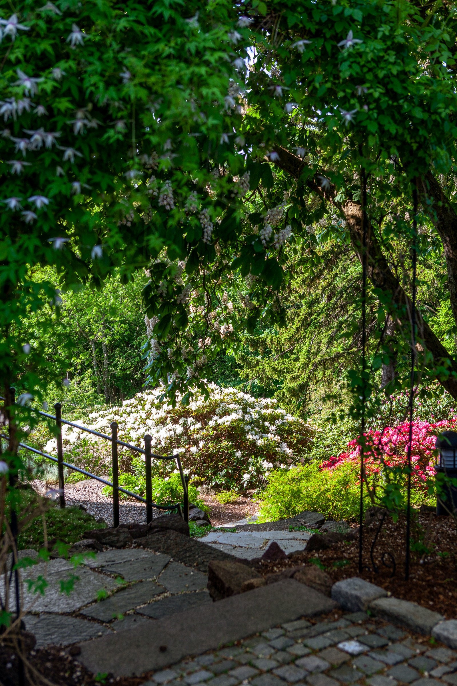 Rundt om i hagen er det mange koselige kriker og kroker, perfekt hvis man ønsker litt skygge eller egentid. Galleribilde