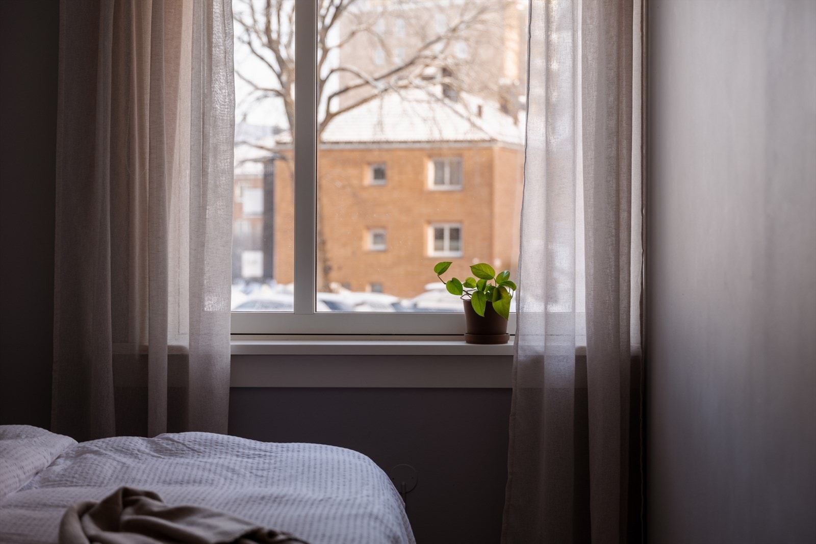 Vinduer sørger for mye naturlig lys og en god start på dagen. Galleribilde