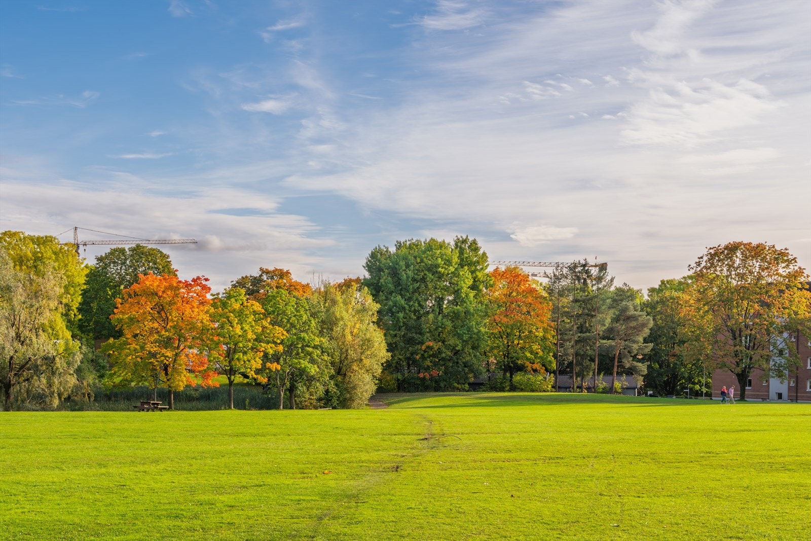 Rett utenfor inngangsdøren er det store, åpne grøntområder for rekreasjon og lek. Galleribilde