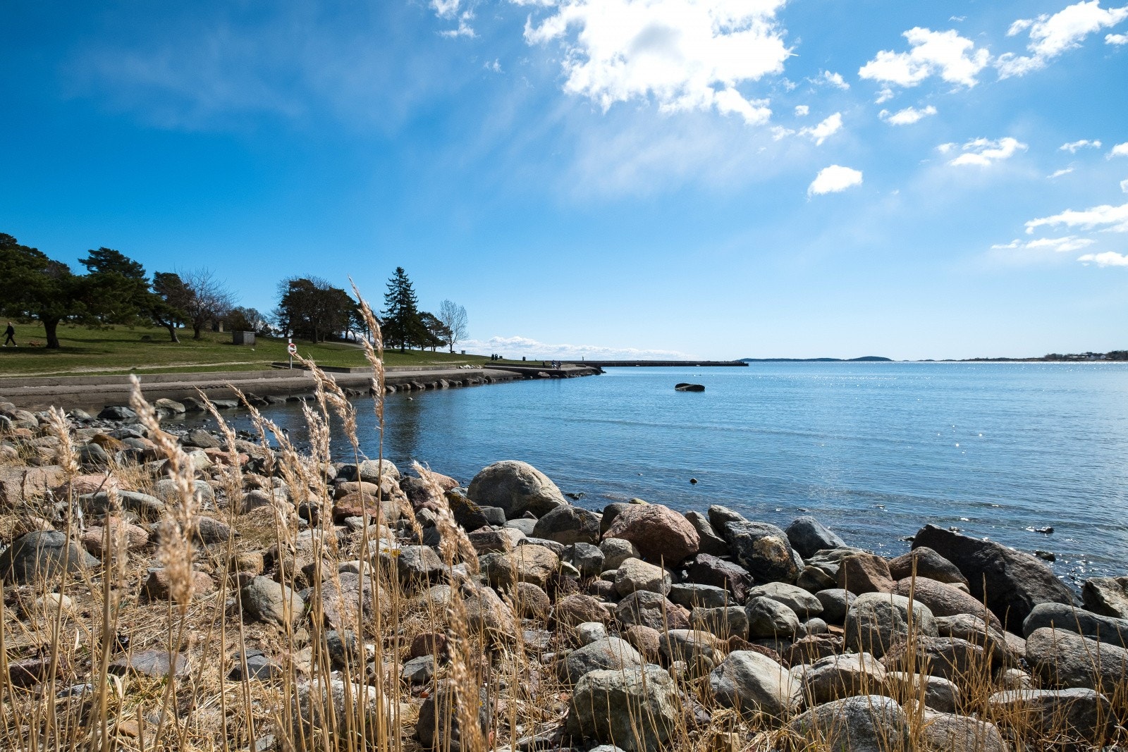Nærområde Galleribilde