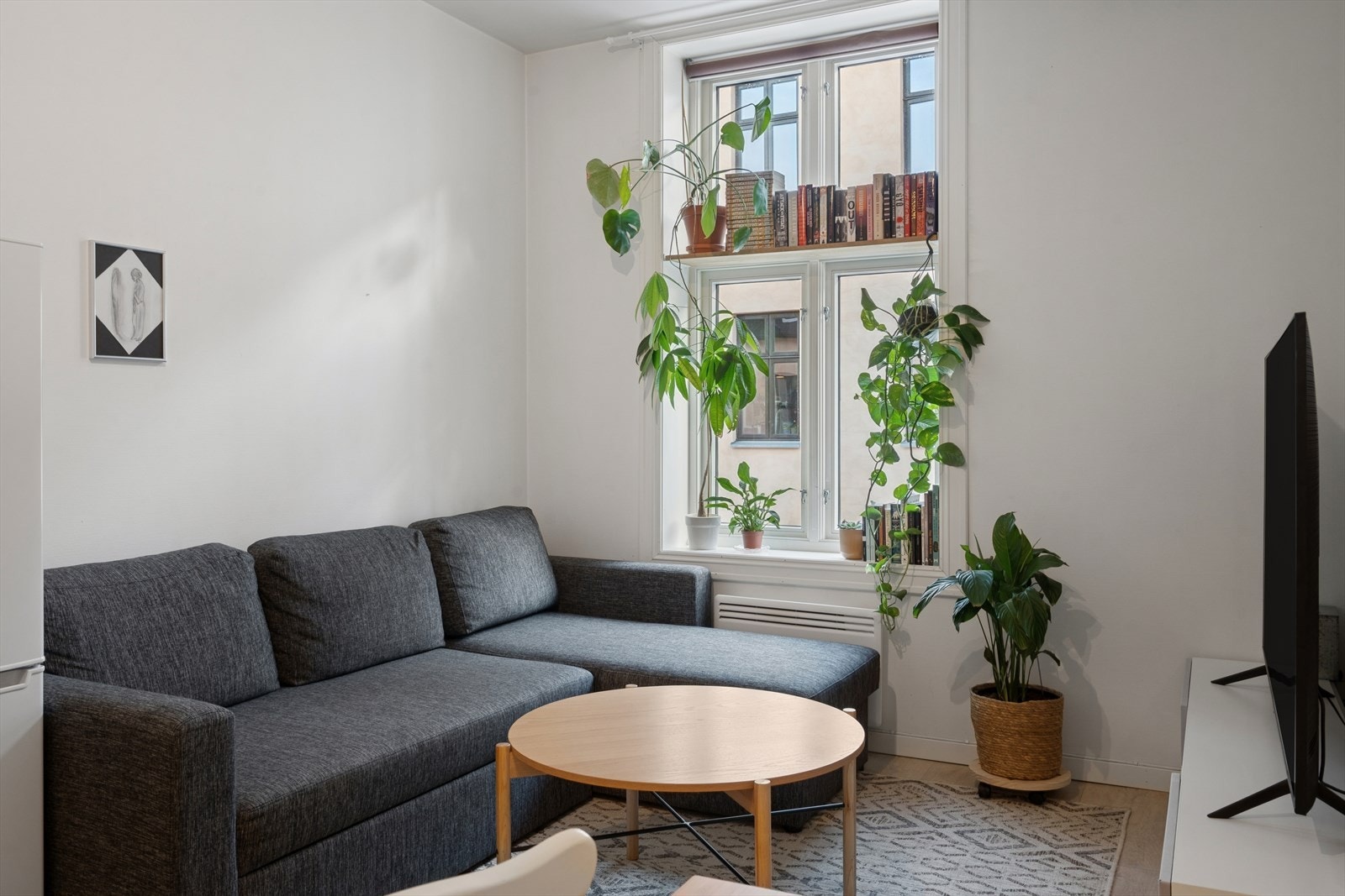 Rikelig med naturlig lys fra stor vindusflate. Galleribilde