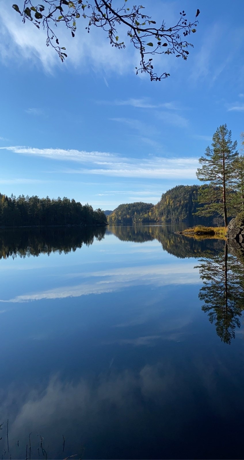 Selgers egne bilder fra nærområde Galleribilde