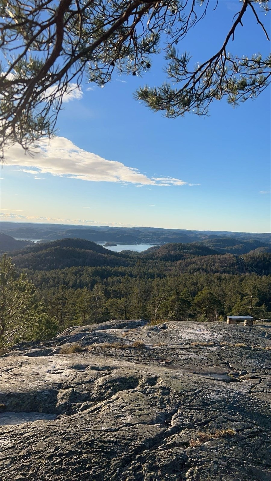 Selgers egne bilder fra nærområde Galleribilde