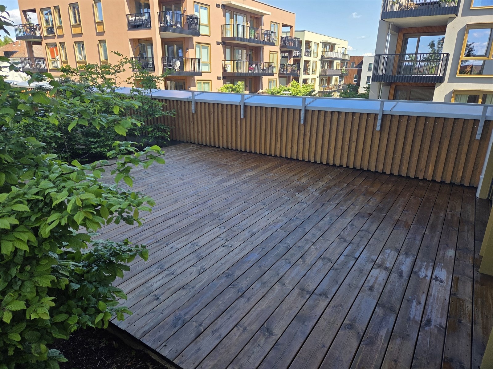 Selgers arkivbilde fra sommeren da terrassen ble oljet! Galleribilde