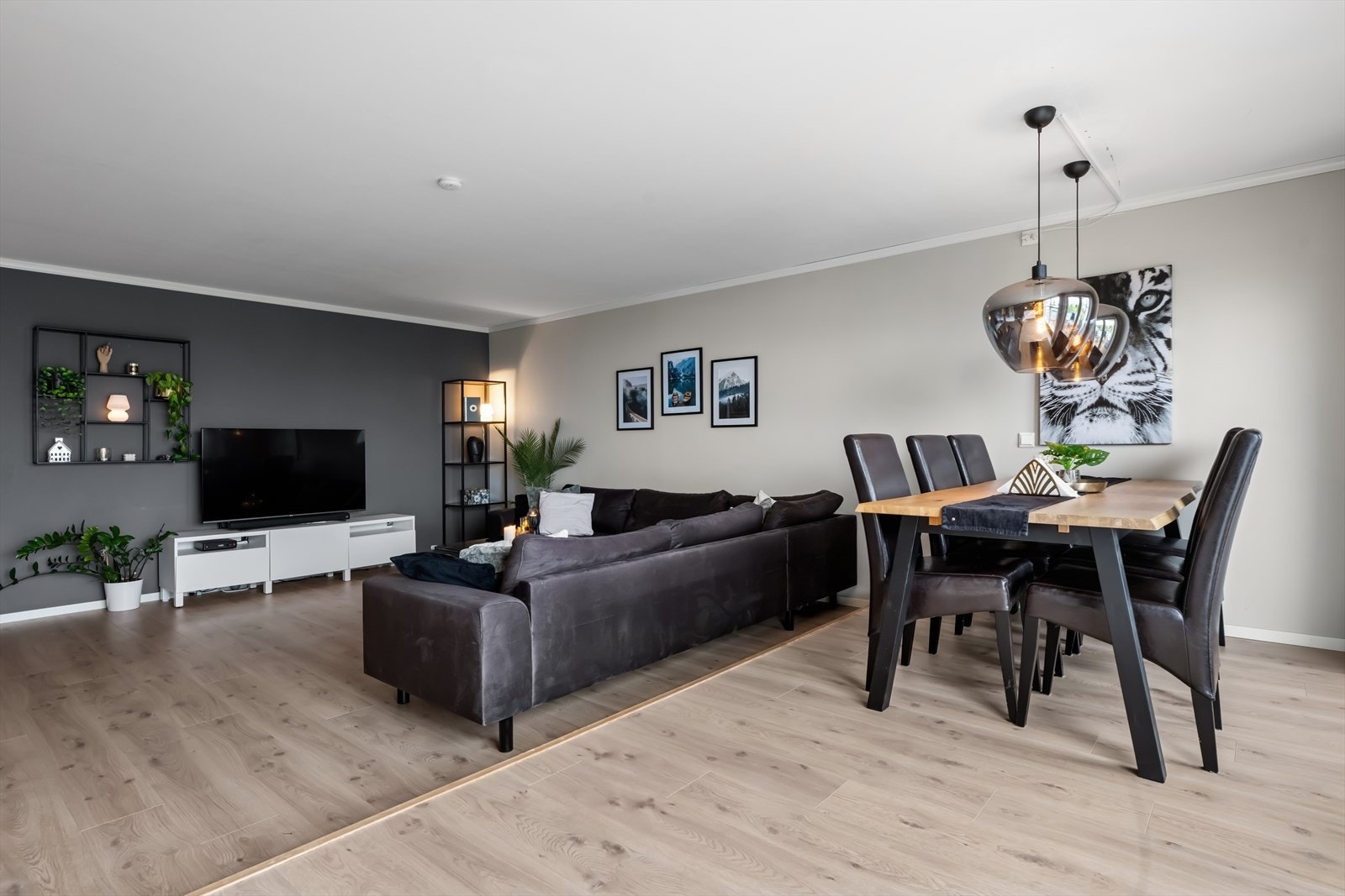 Grunnpakke TV/Internett er inkludert i felleskostnadene. Galleribilde