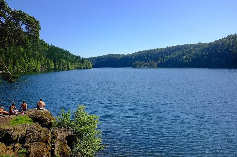 Nærområdet - Lutvann Galleribilde