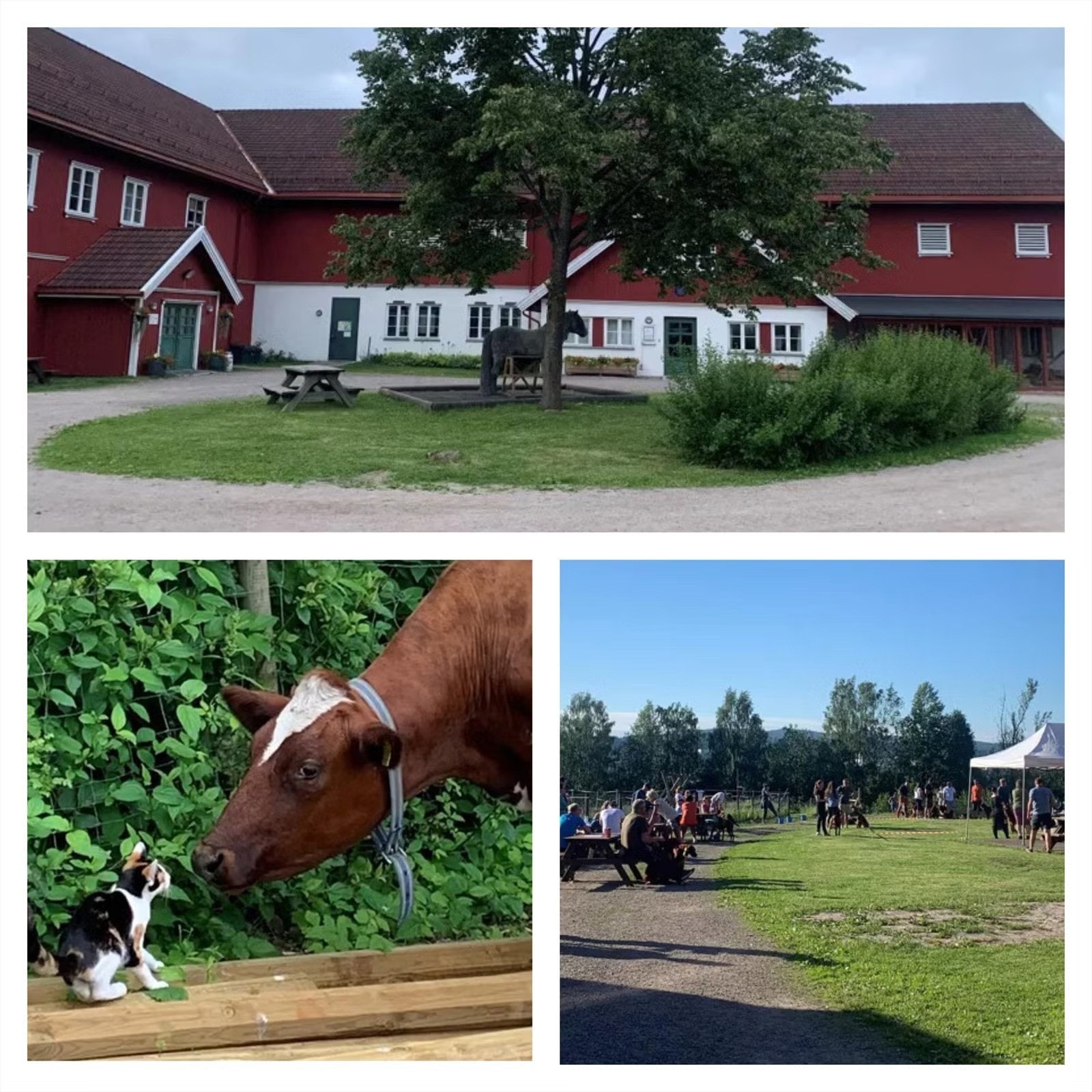 Nærområdet - Nordre Lindeberg besøksgård Galleribilde