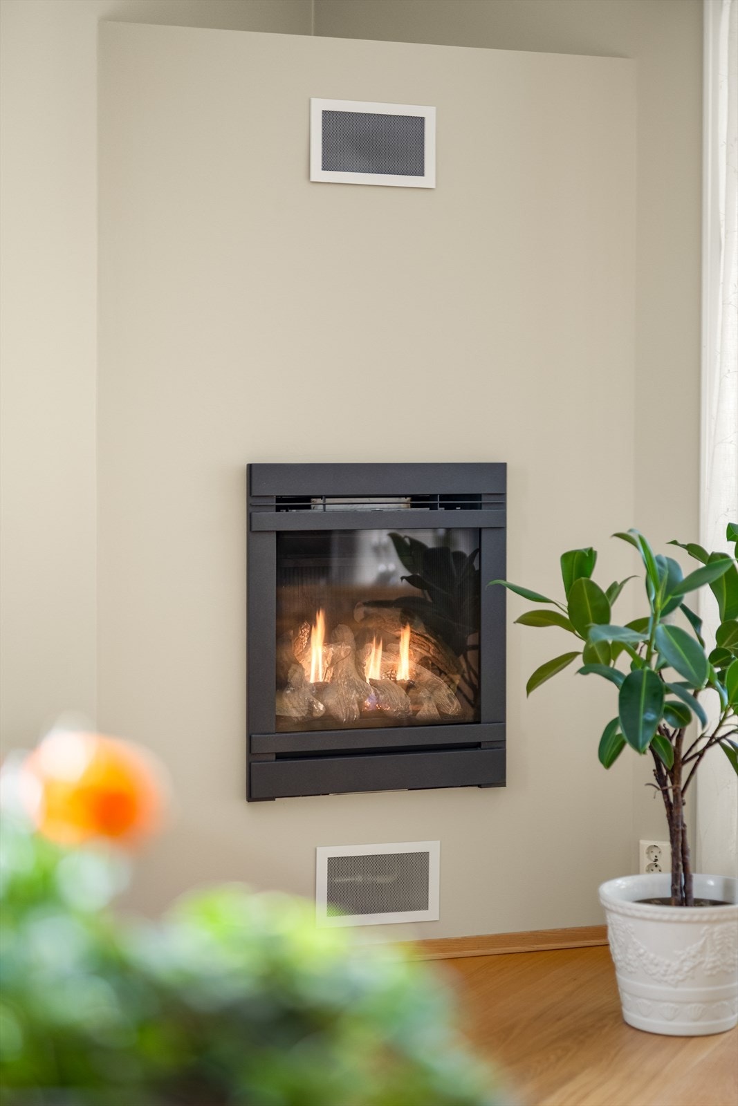 Gasspeis Galleribilde