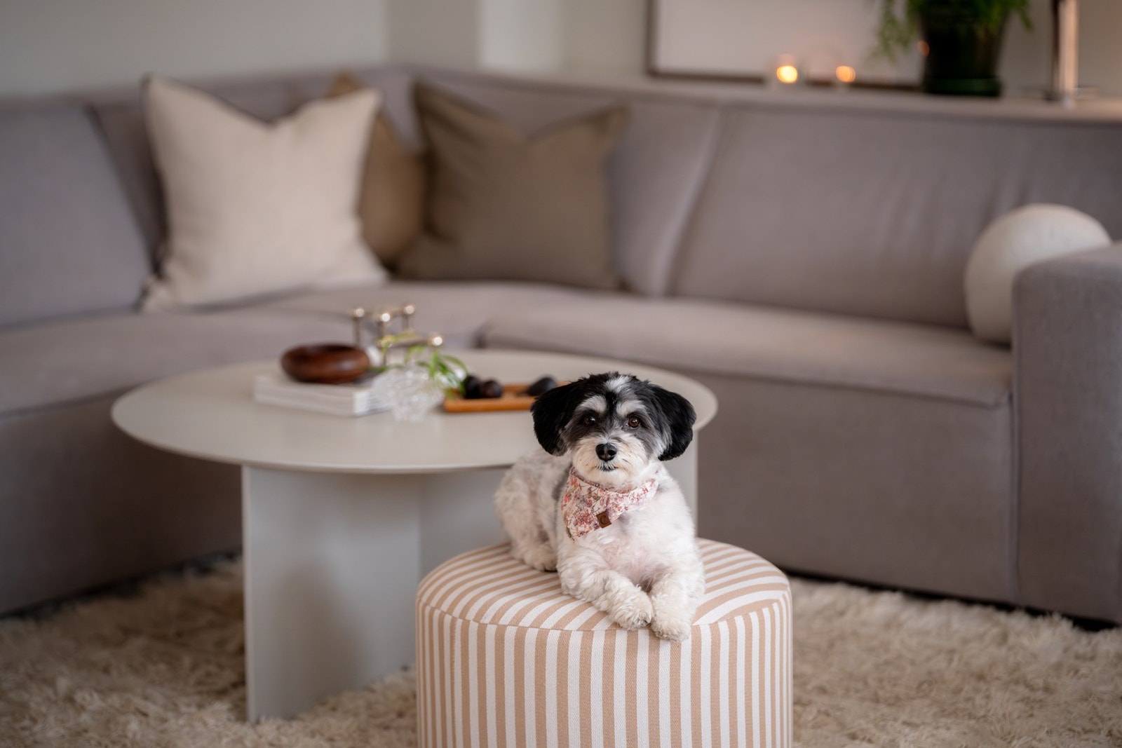 Jeg bor også her :) Galleribilde