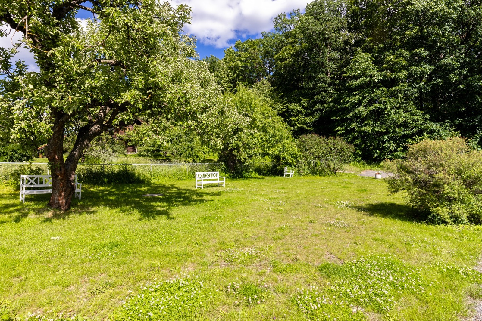 Hagebilder. Galleribilde