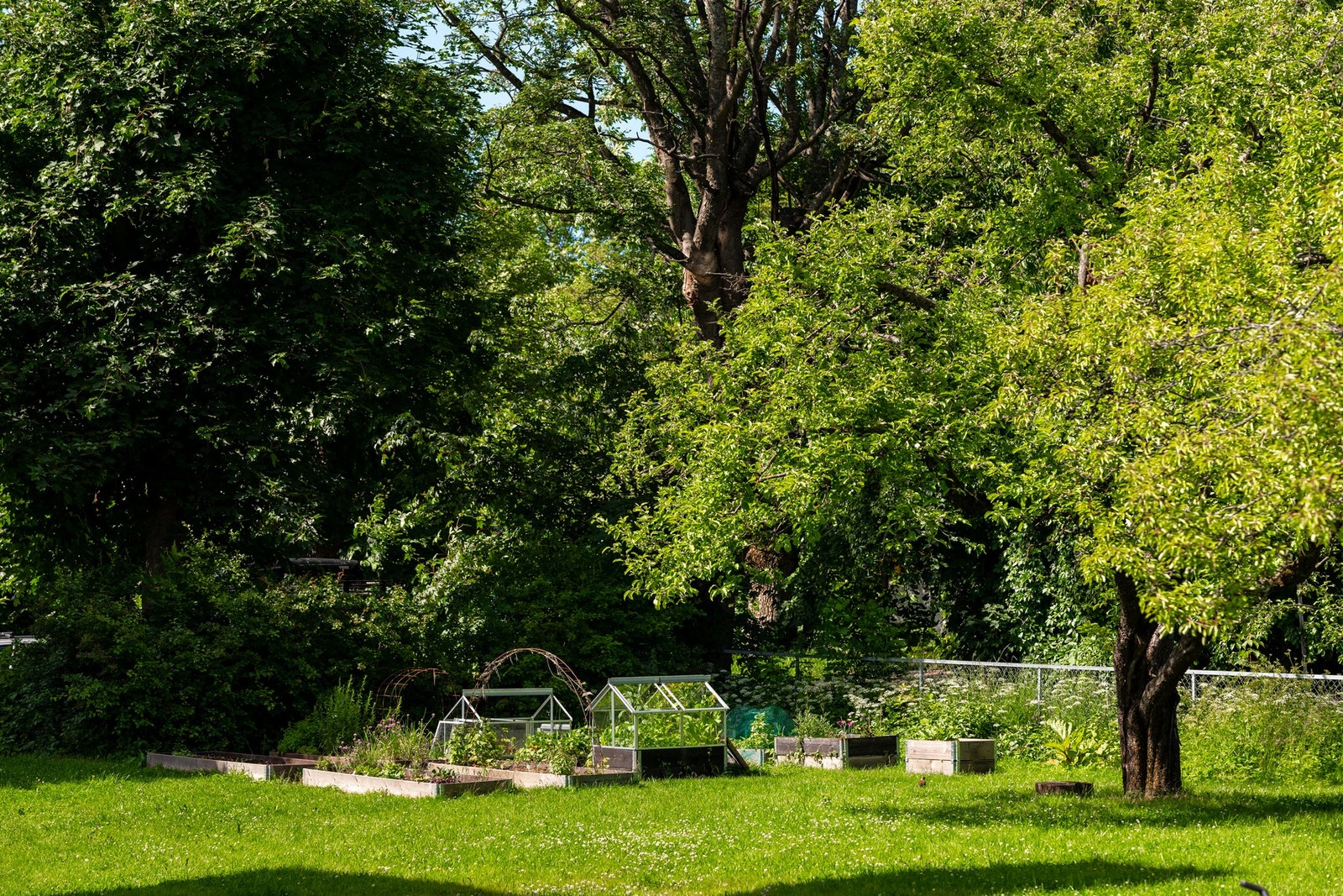 Hagebilde, drivhus. Galleribilde