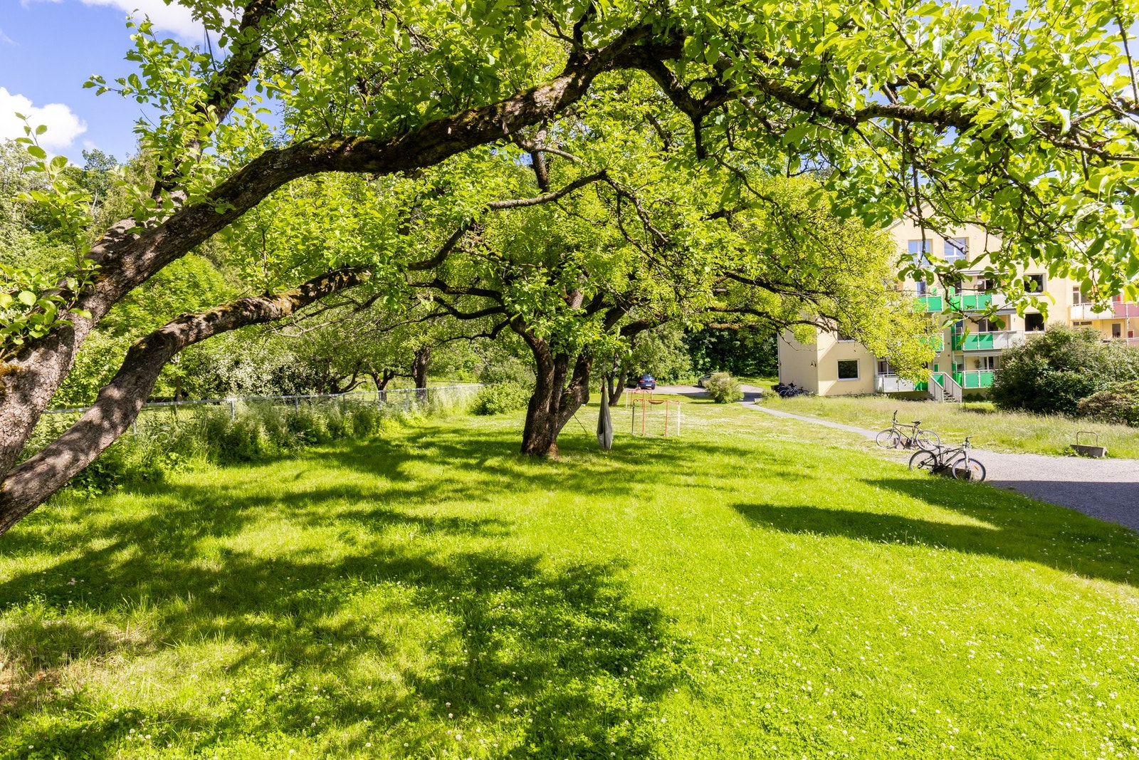 Hagebilde. Galleribilde