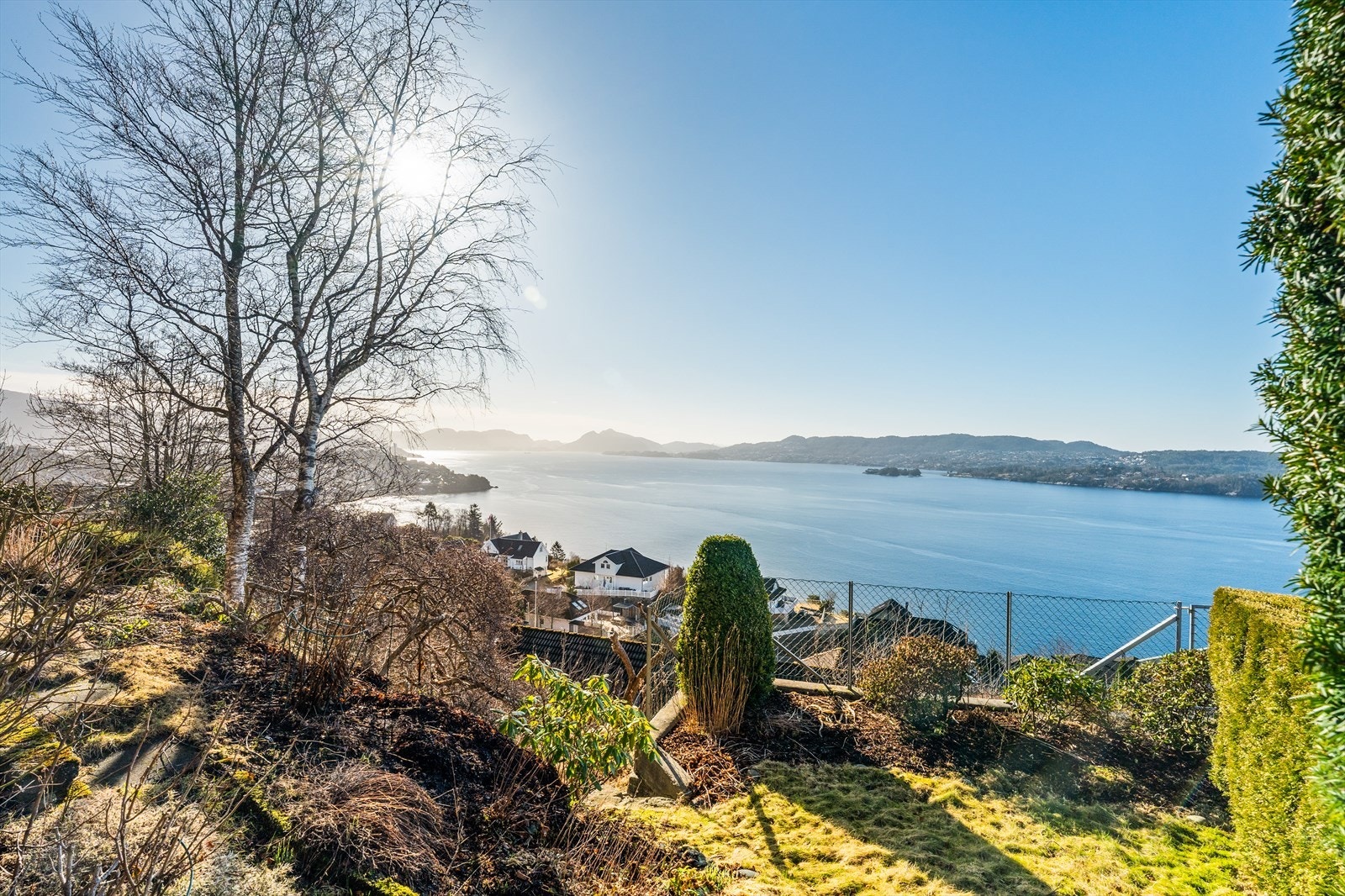 Hage med mye potensiale. Galleribilde