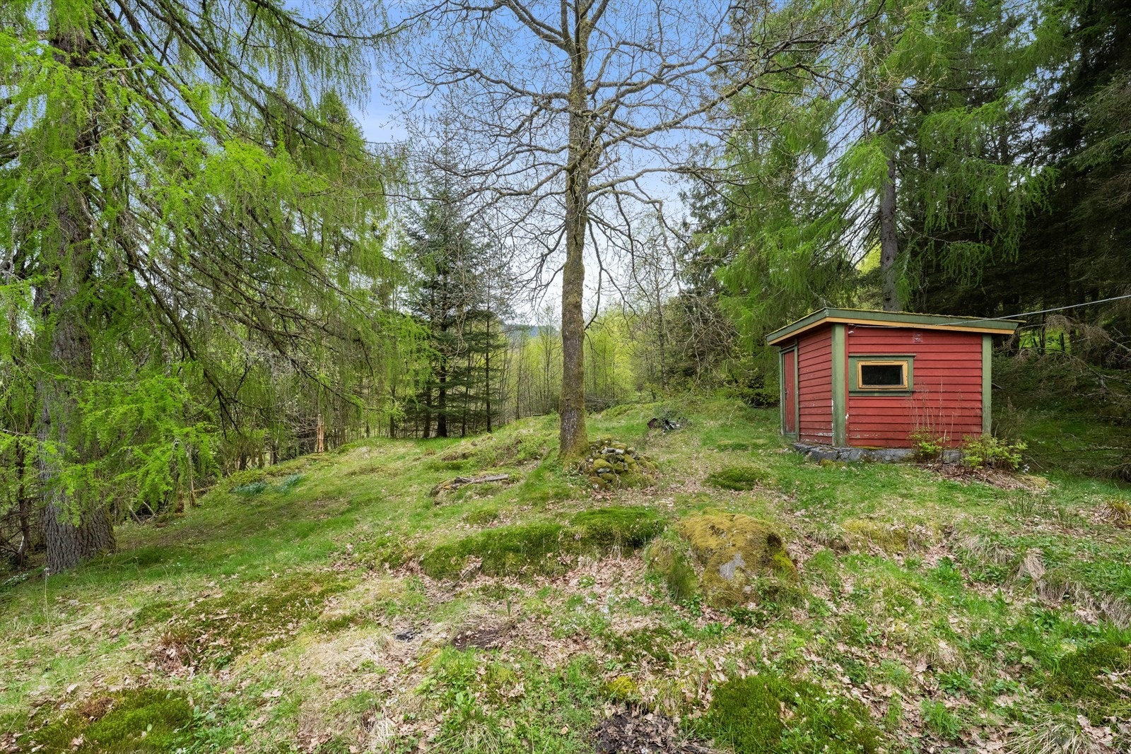 Tomten bestå i all hovedsak av naturtomt. Galleribilde