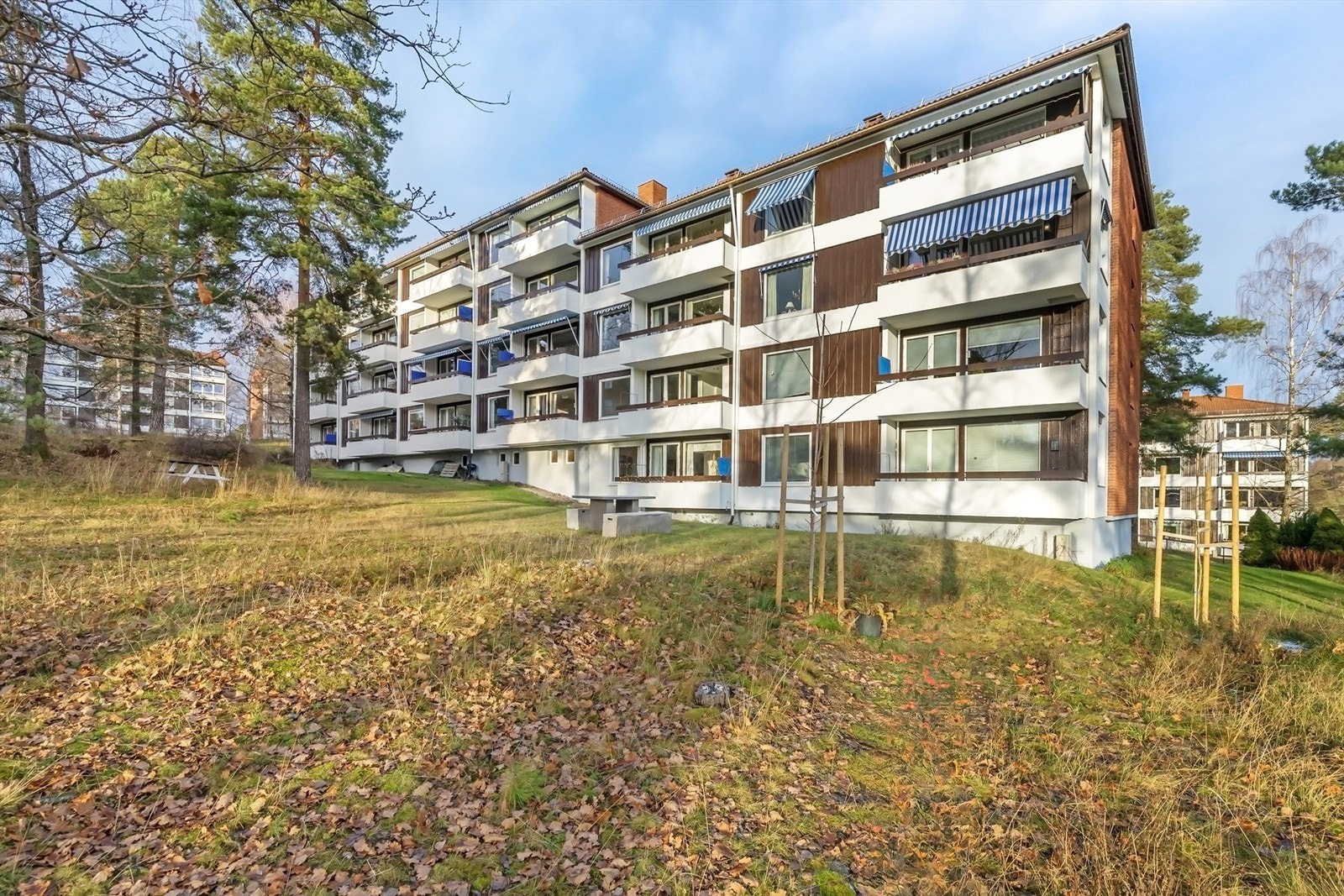 Sjøen er bare noen få minutters gange unna - perfekt for et forfriskende morgenbad eller en rolig kveldsdupp Galleribilde