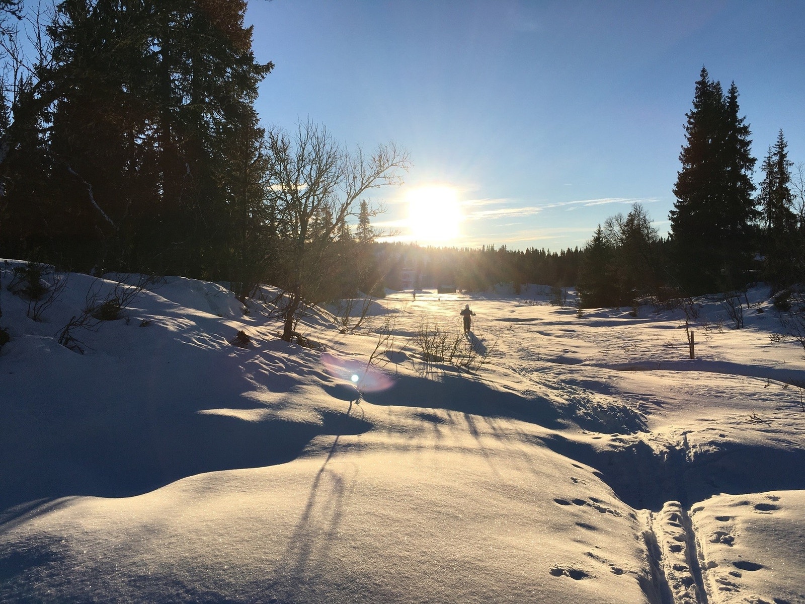 Selgers foto! Galleribilde