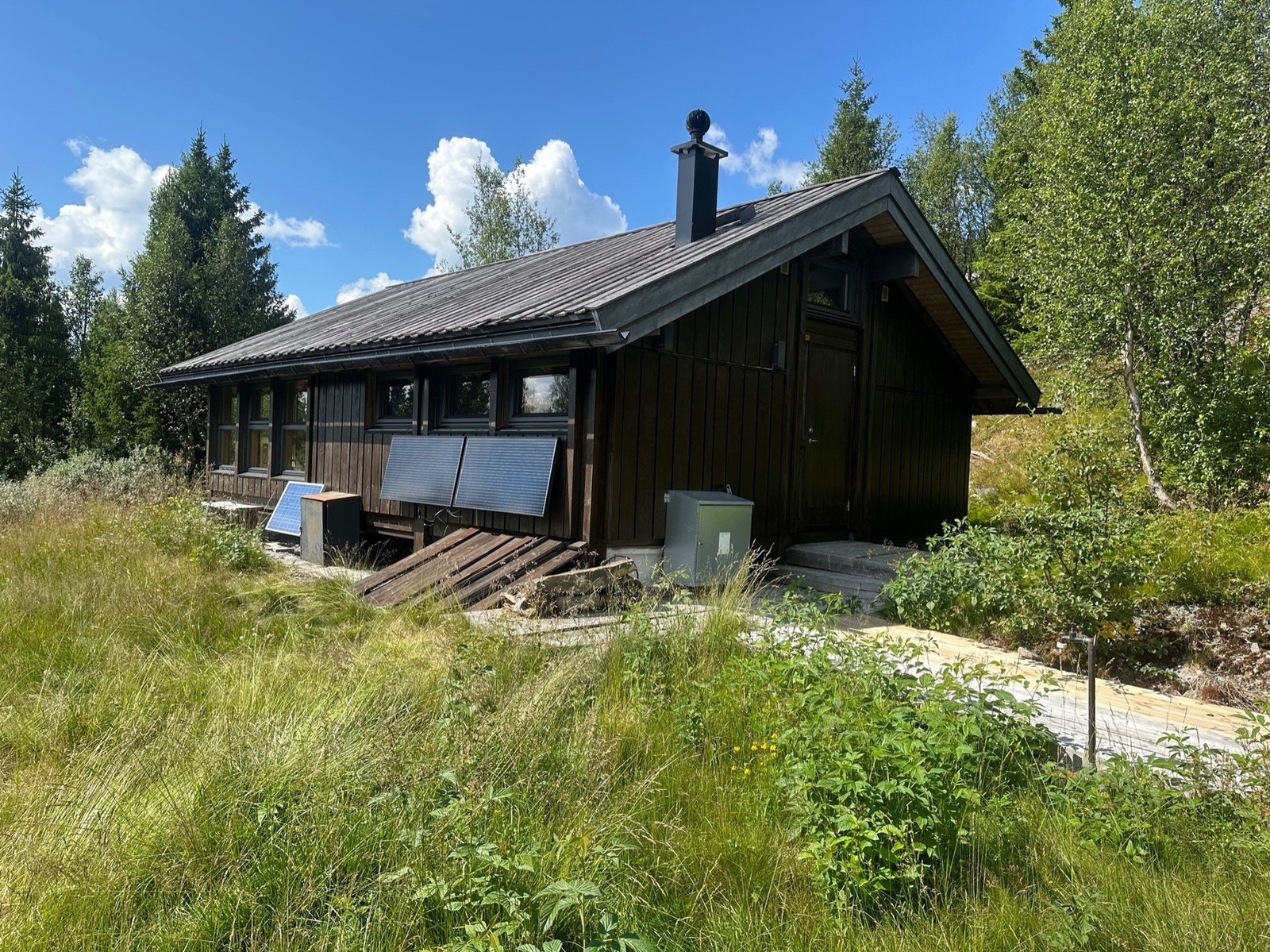 Tomten er dels opparbeidet med plen og beplantning, ellers naturtomt Galleribilde