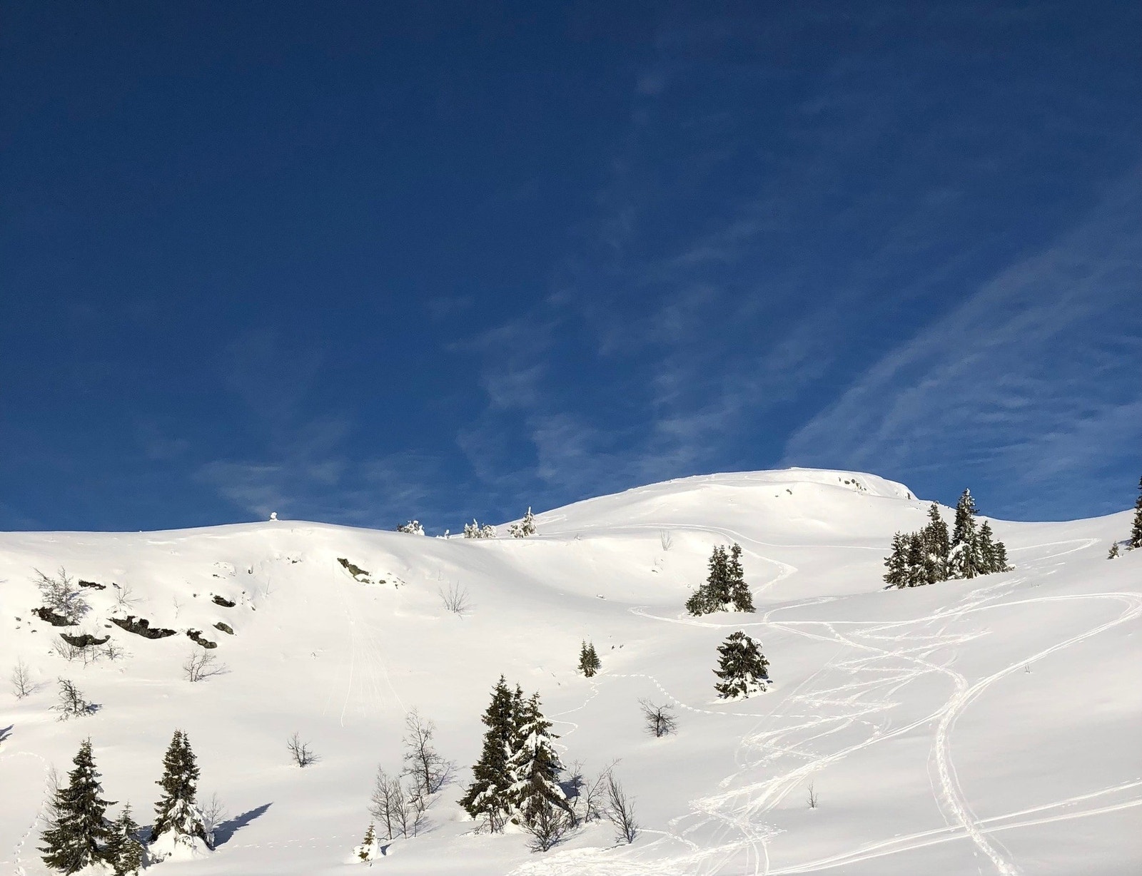 Selgers foto! Galleribilde