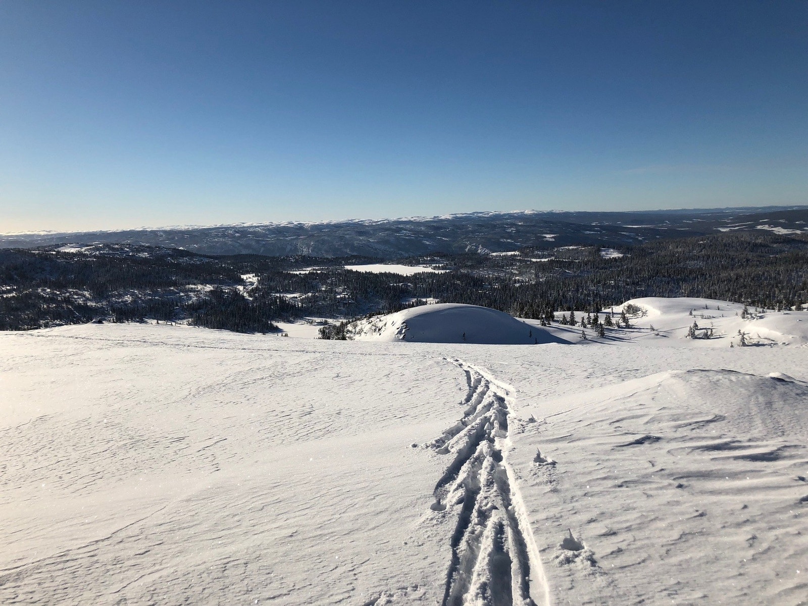 Selgers foto! Galleribilde