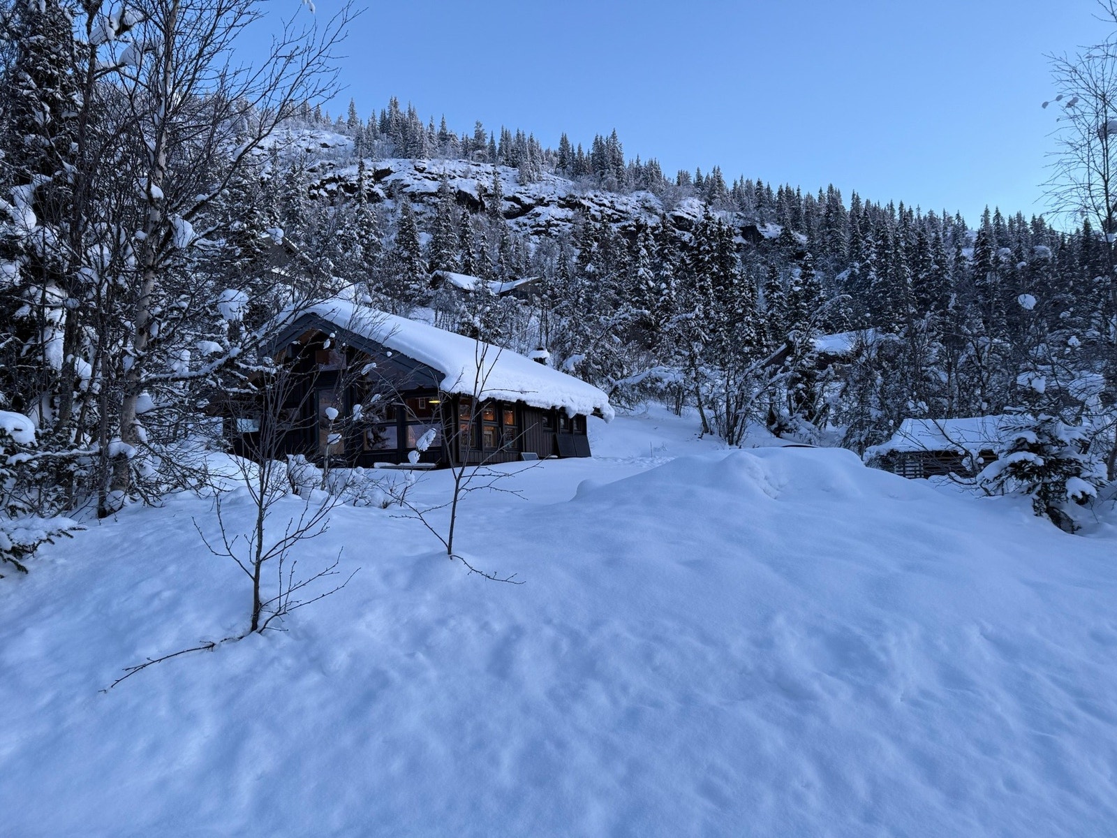Den koselige Hedda-hytta ligger i rolige omgivelser med flott natur (selgers foto) Galleribilde