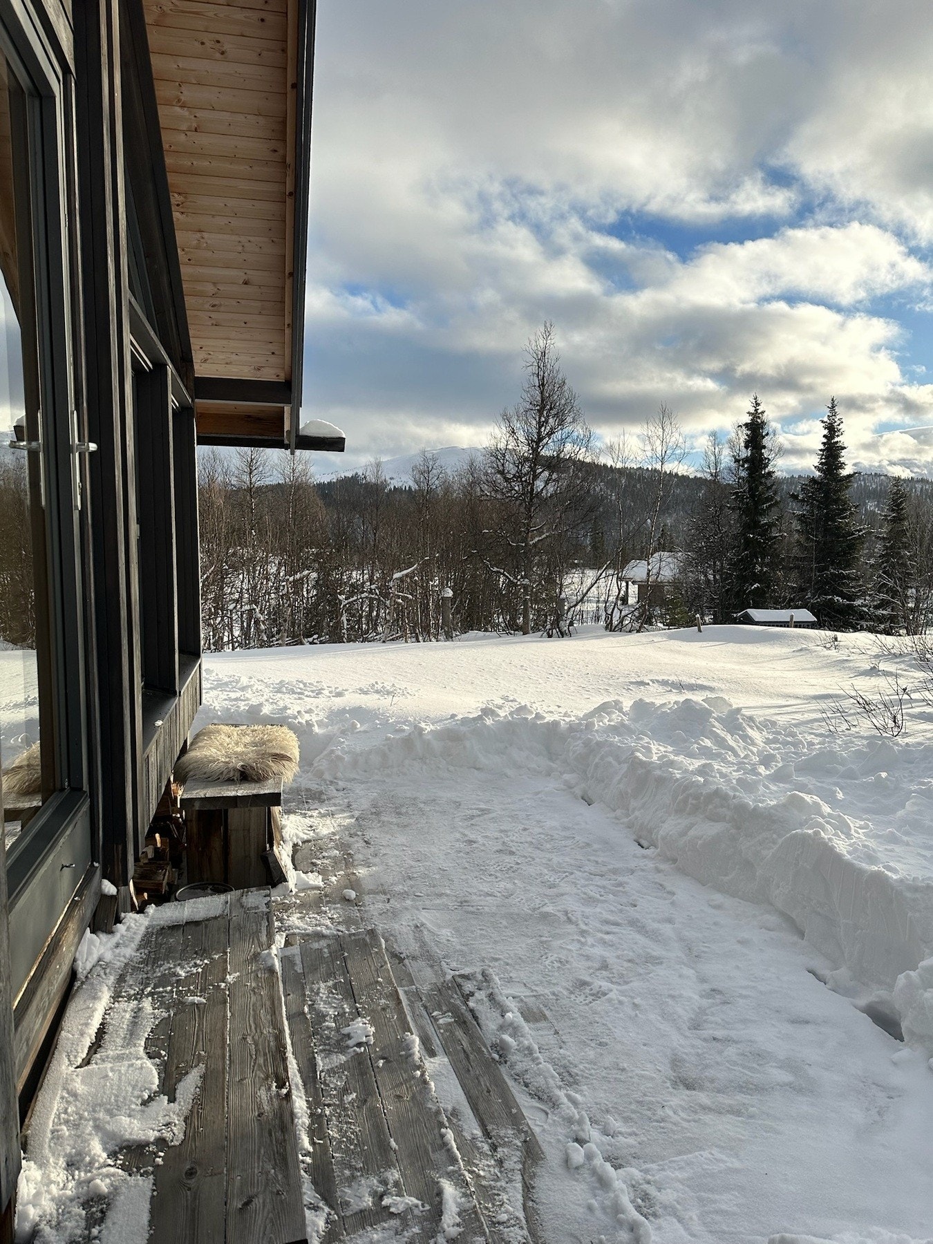 Selgers foto Galleribilde