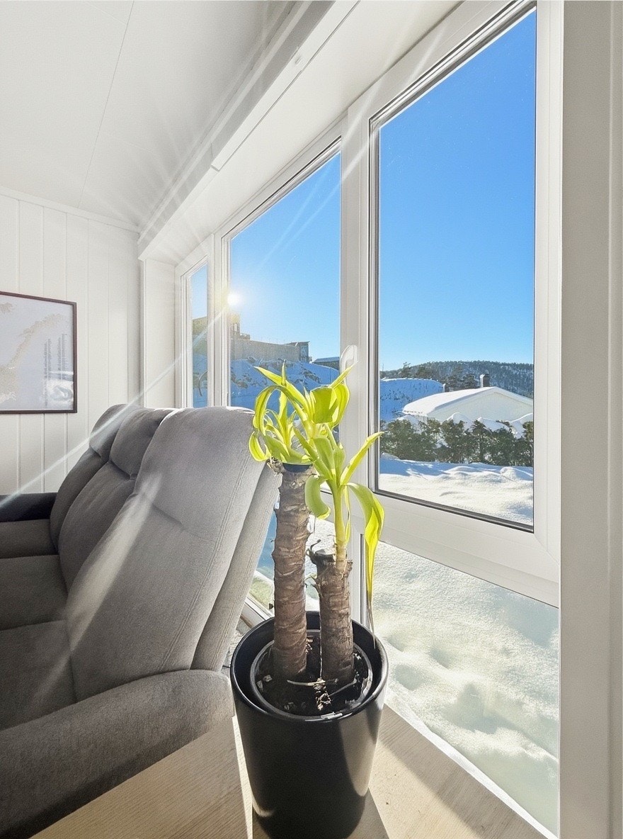 Store vindusflater gir rikelig med dagslys og flott utsyn Galleribilde