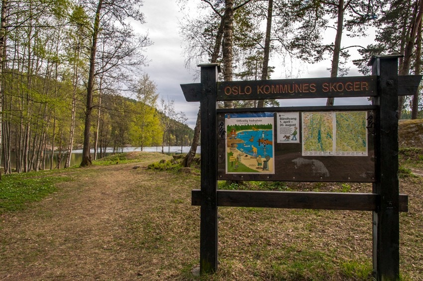 Turmulighetene er mange! Galleribilde