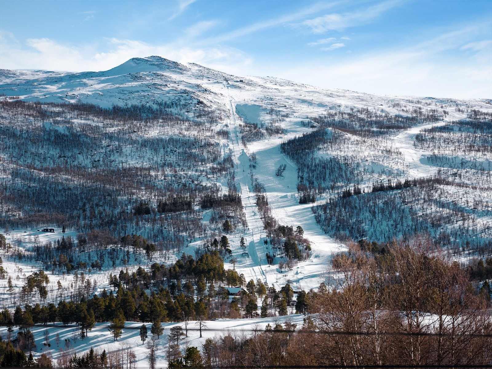 Det er kort veg til Nerskogen Skisenter med 3 heiser med varierte nedfartsløyper, langrennsløyper, skiutleie, en trivelig kafeteria og overnattingsmuligheter. Galleribilde