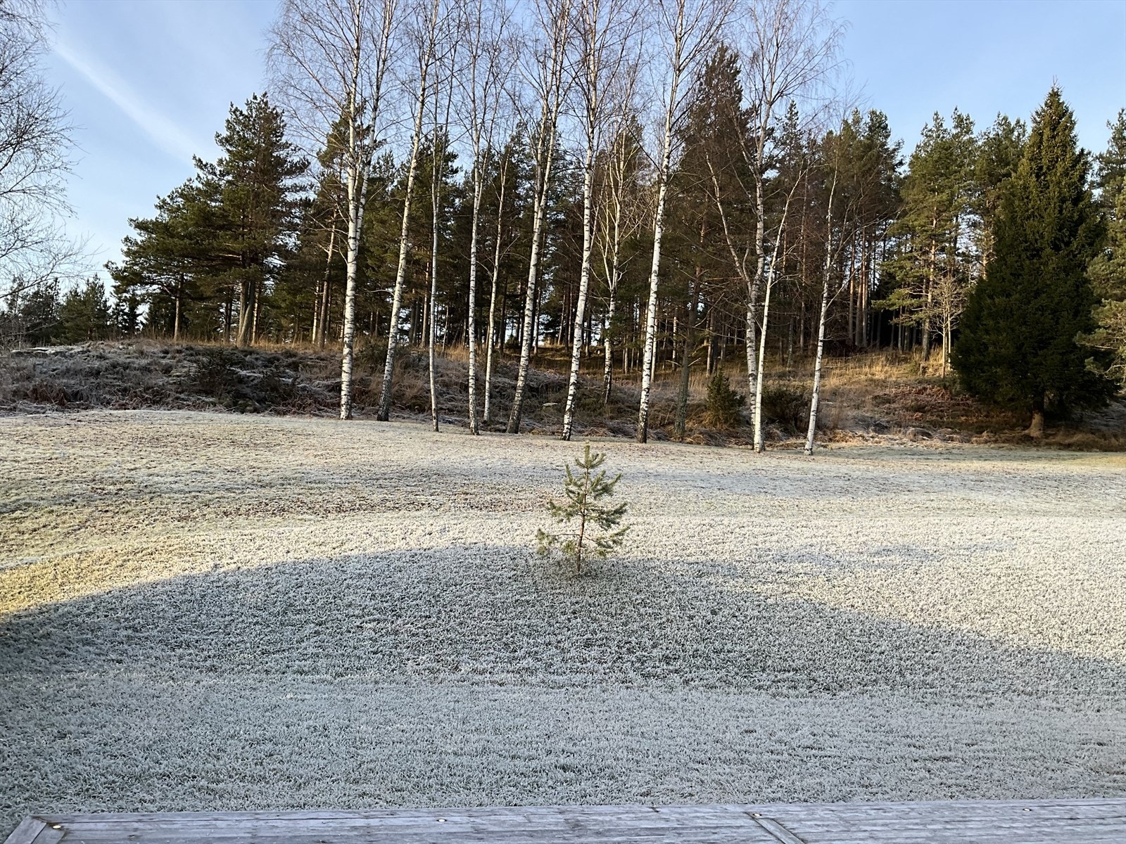 Å bo ved skogen beskrives av mange at man kommer hjem til ro , uansett hvor hektisk dagen har vært. Bare det å se skogen gjennom vinduet kan ha en beroligende effekt Galleribilde