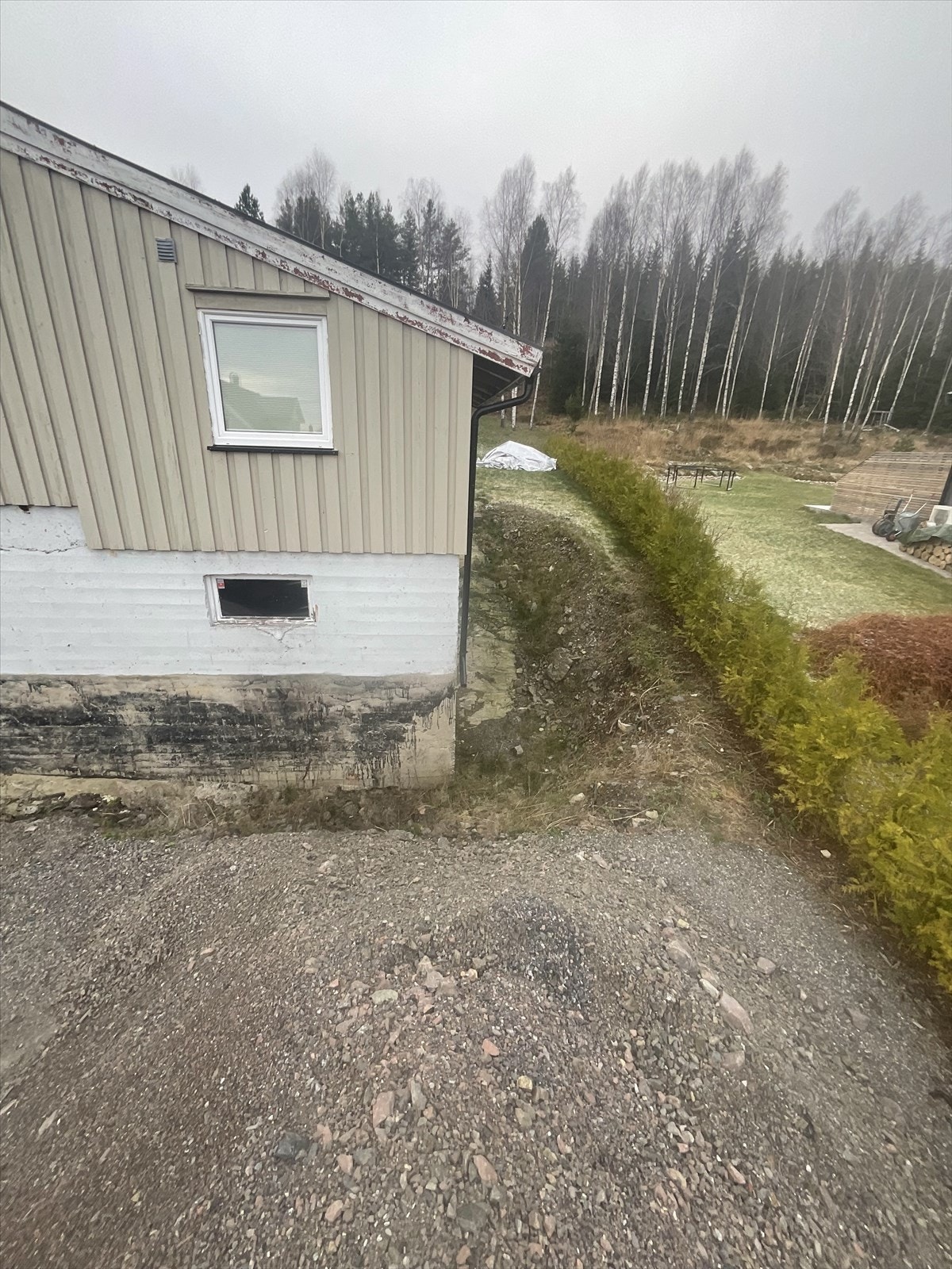 Det er plantet Tuja hekk langs tomtegrensen mot nord og øst Galleribilde