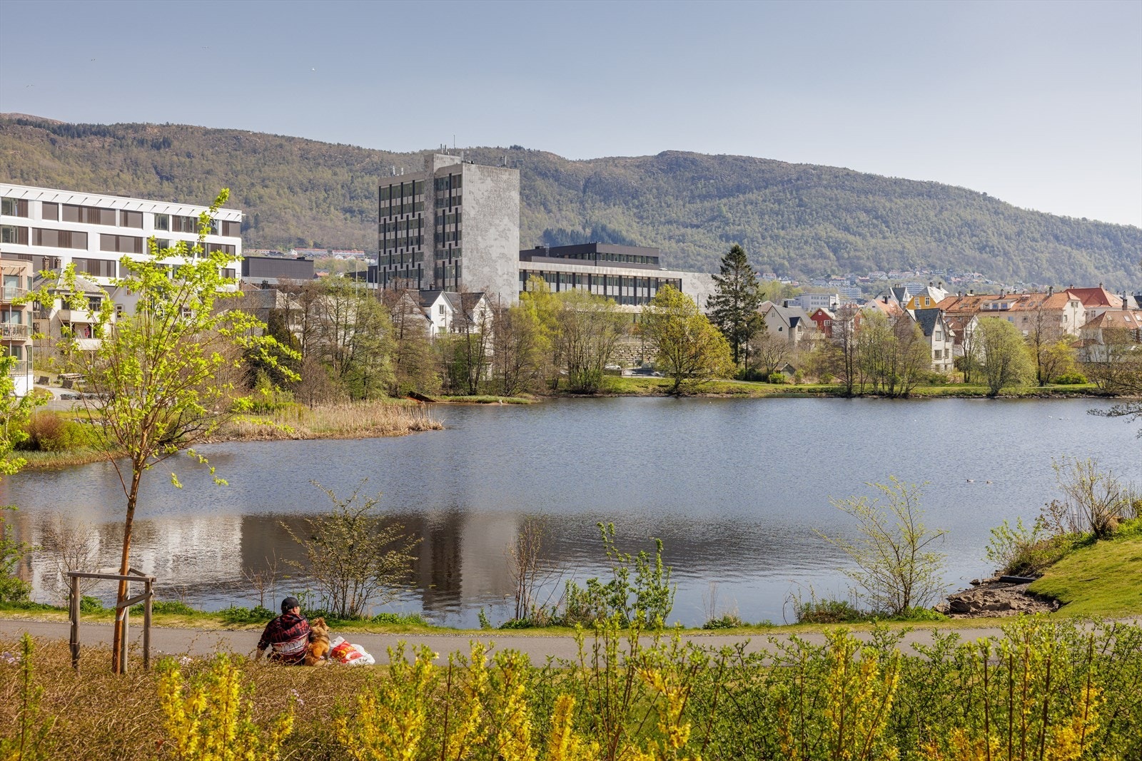Hjertelig velkommen på visning - husk påmelding! Galleribilde