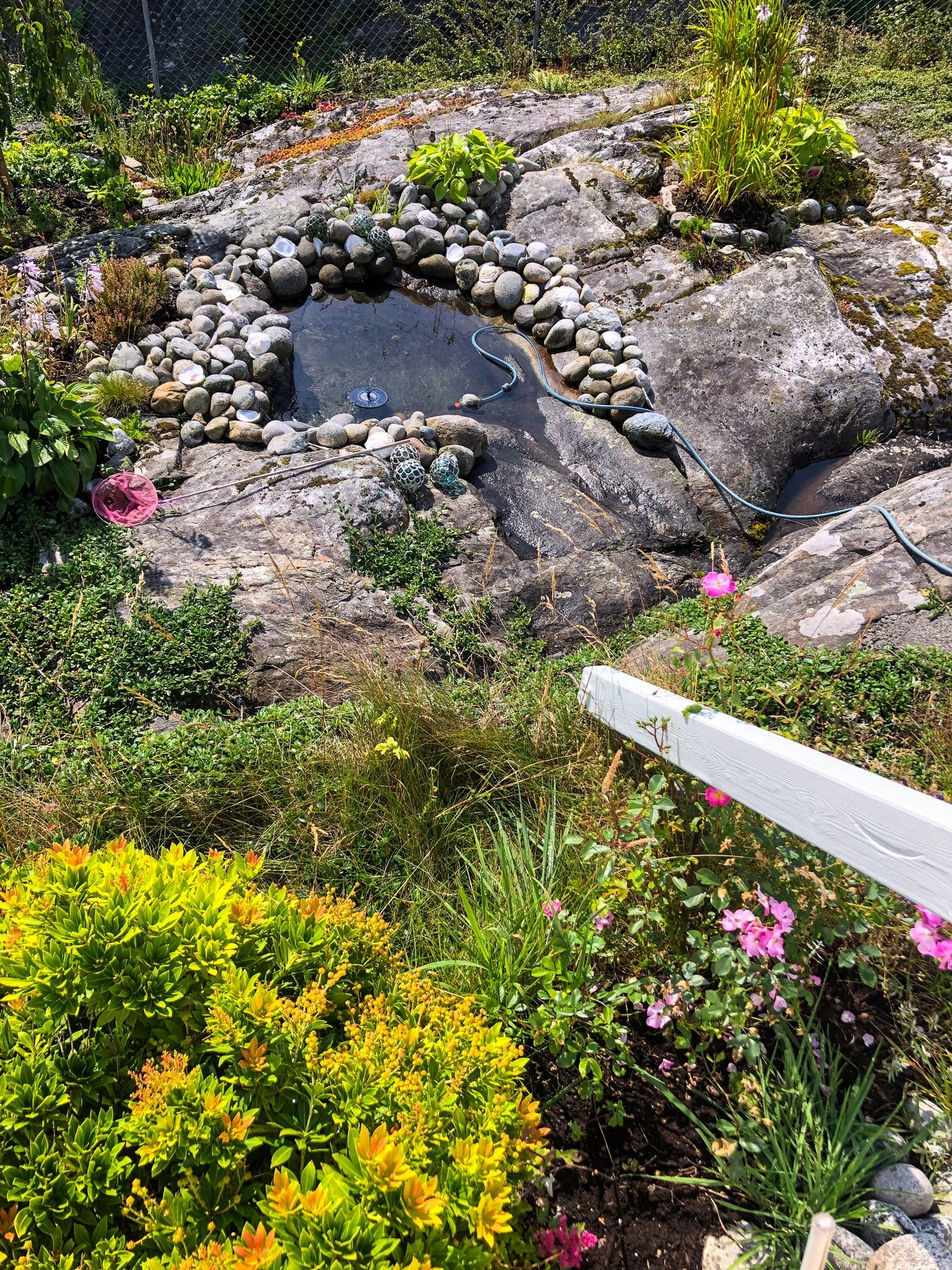 - Eiendommen byr på gjennomtenkt beplantning med blomsterbed og prydbusker i nordvest og sør, samt egen hagesone med frukttrær, bærbusker, drueplanter og urter - Galleribilde