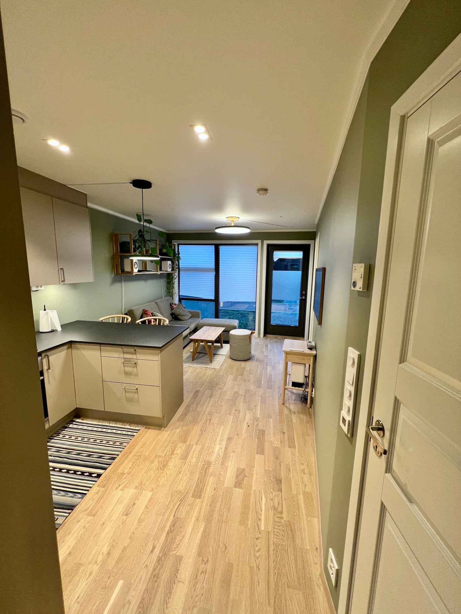 Stue/kjøkken sett fra bod Galleribilde