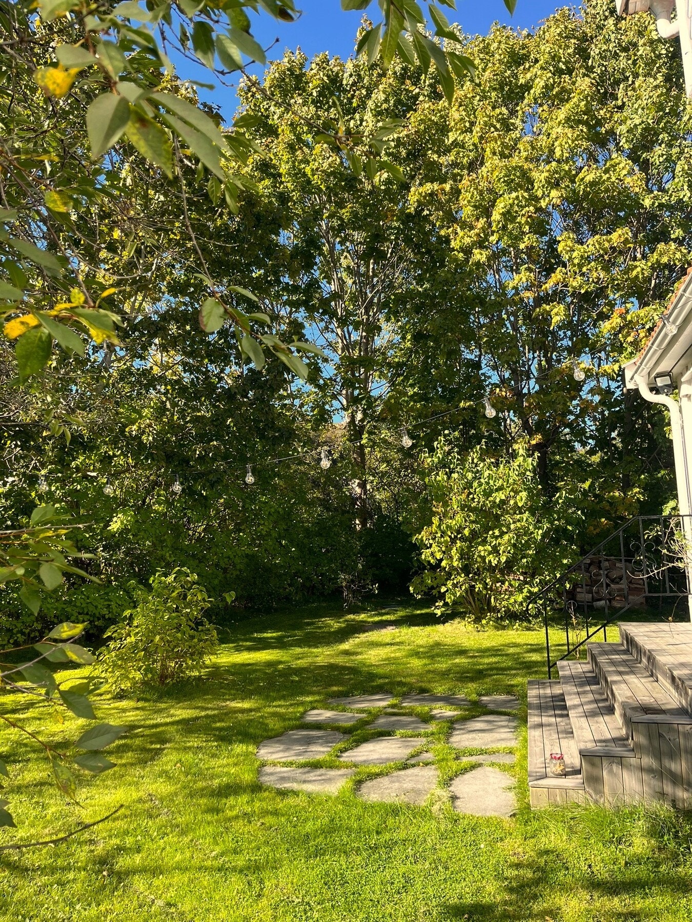 Hagen fremstår grønn, lun og skjermet, omkranset av hekk og trær som gir gode, usjenerte soner for både lek og avslapning. Galleribilde