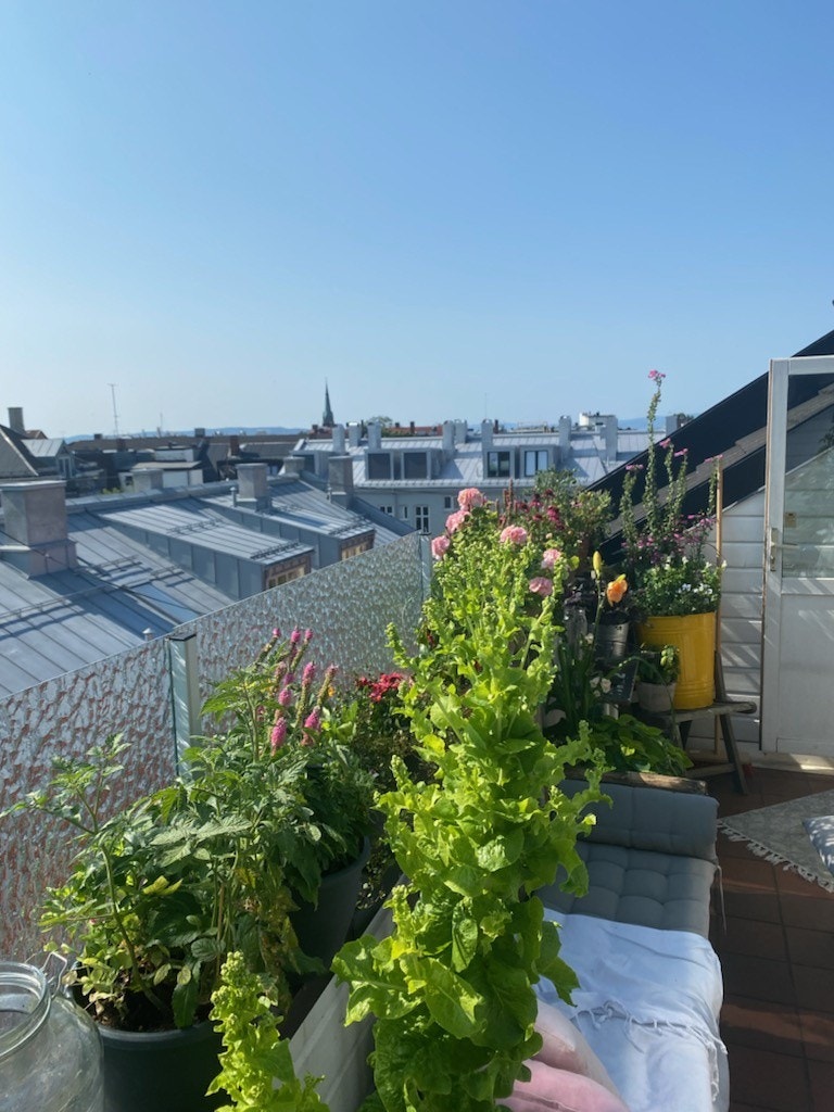 Leiligheten har solrik takterrasse Galleribilde