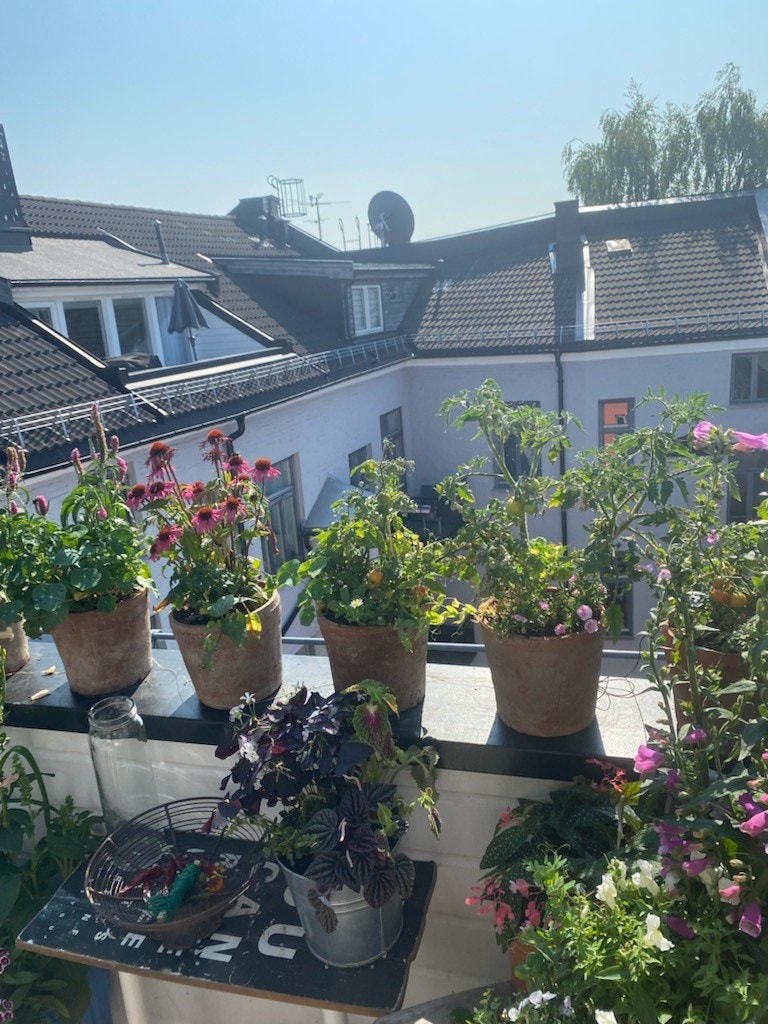 Leiligheten har solrik takterrasse Galleribilde