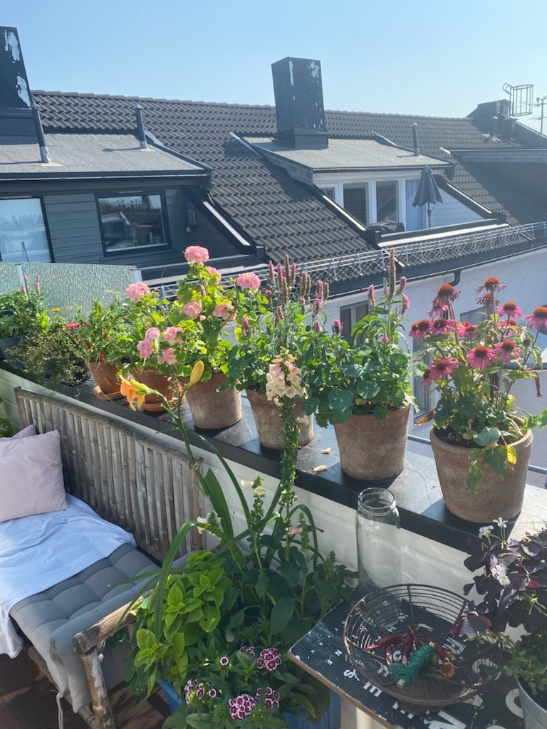 Leiligheten har solrik takterrasse Galleribilde