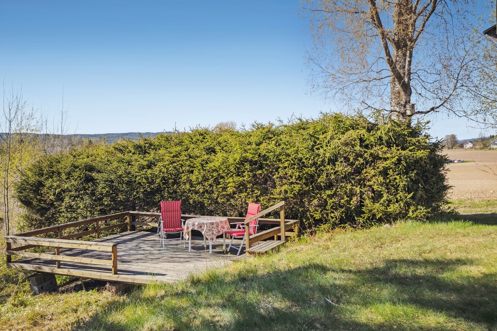 En hyggelig, skjermet og solrik uteplass. Galleribilde