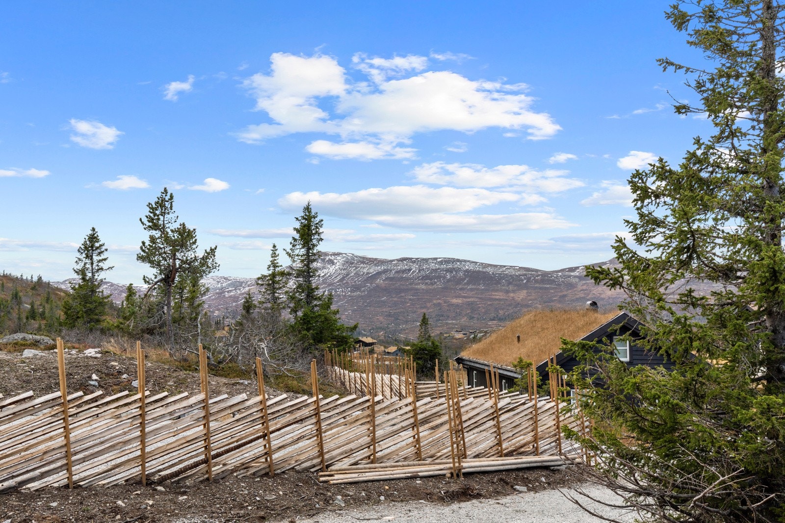 Flott utsikt mot Høgevardetoppen. Galleribilde