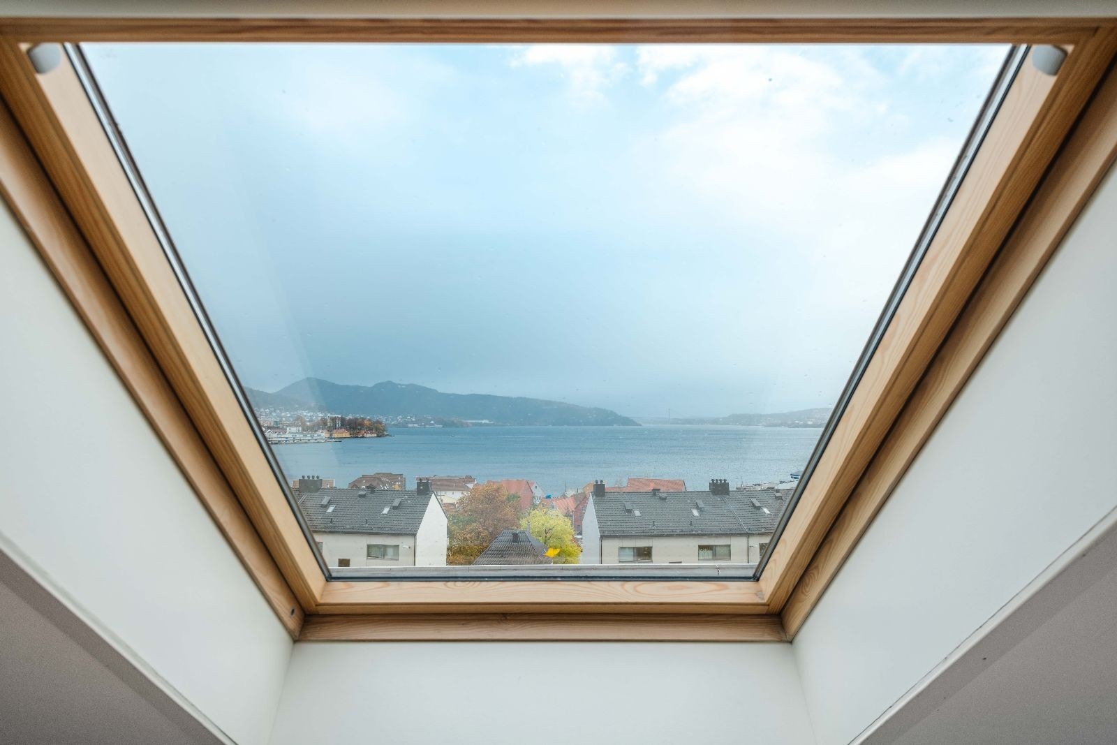 Utsikt over nærområdet og byfjorden Galleribilde