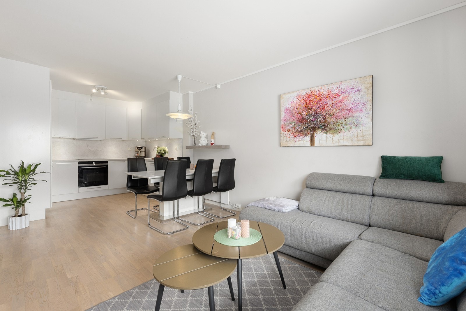 God planløsning med åpen kjøkkenløsning. Galleribilde