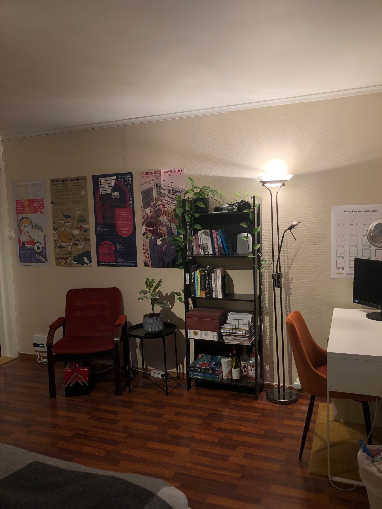 Stue/soverom 2 Galleribilde